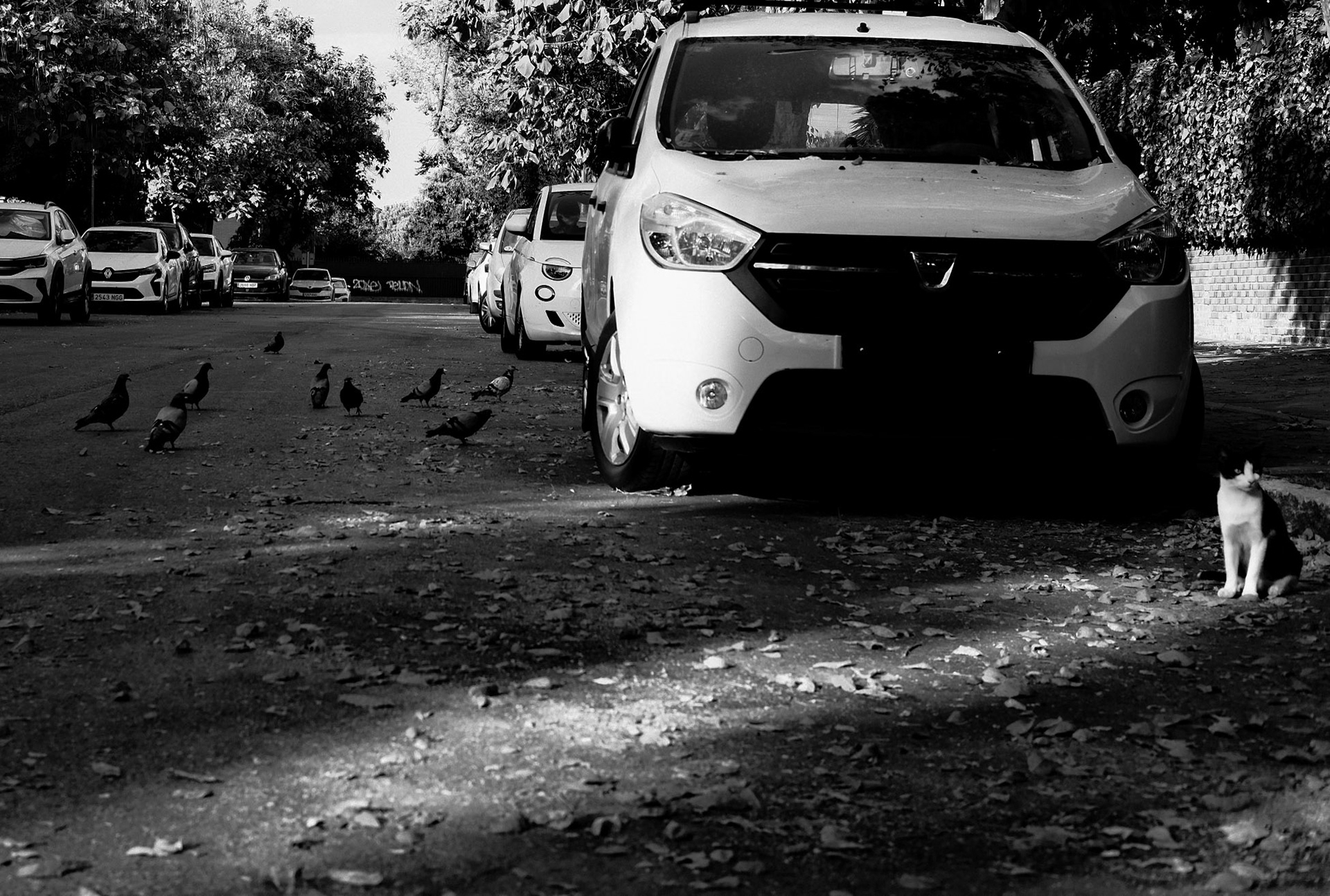 SOOC: Leica 10M