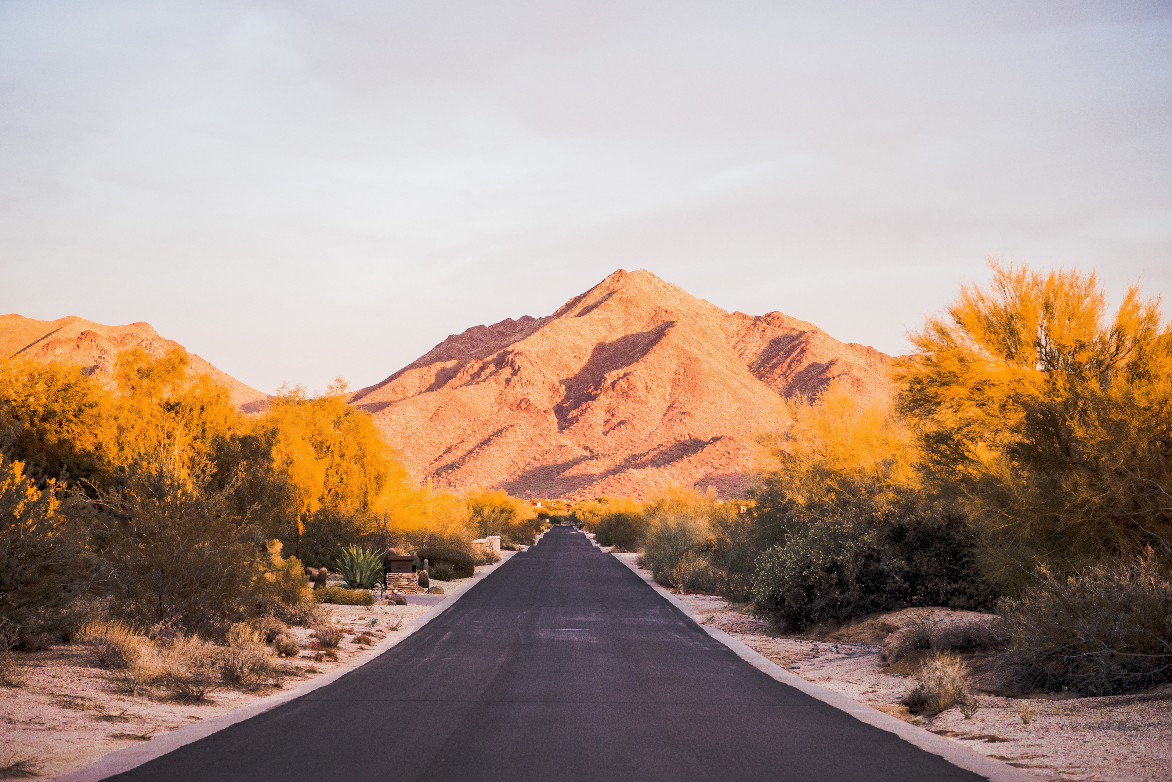 Scottsdale | Arizona