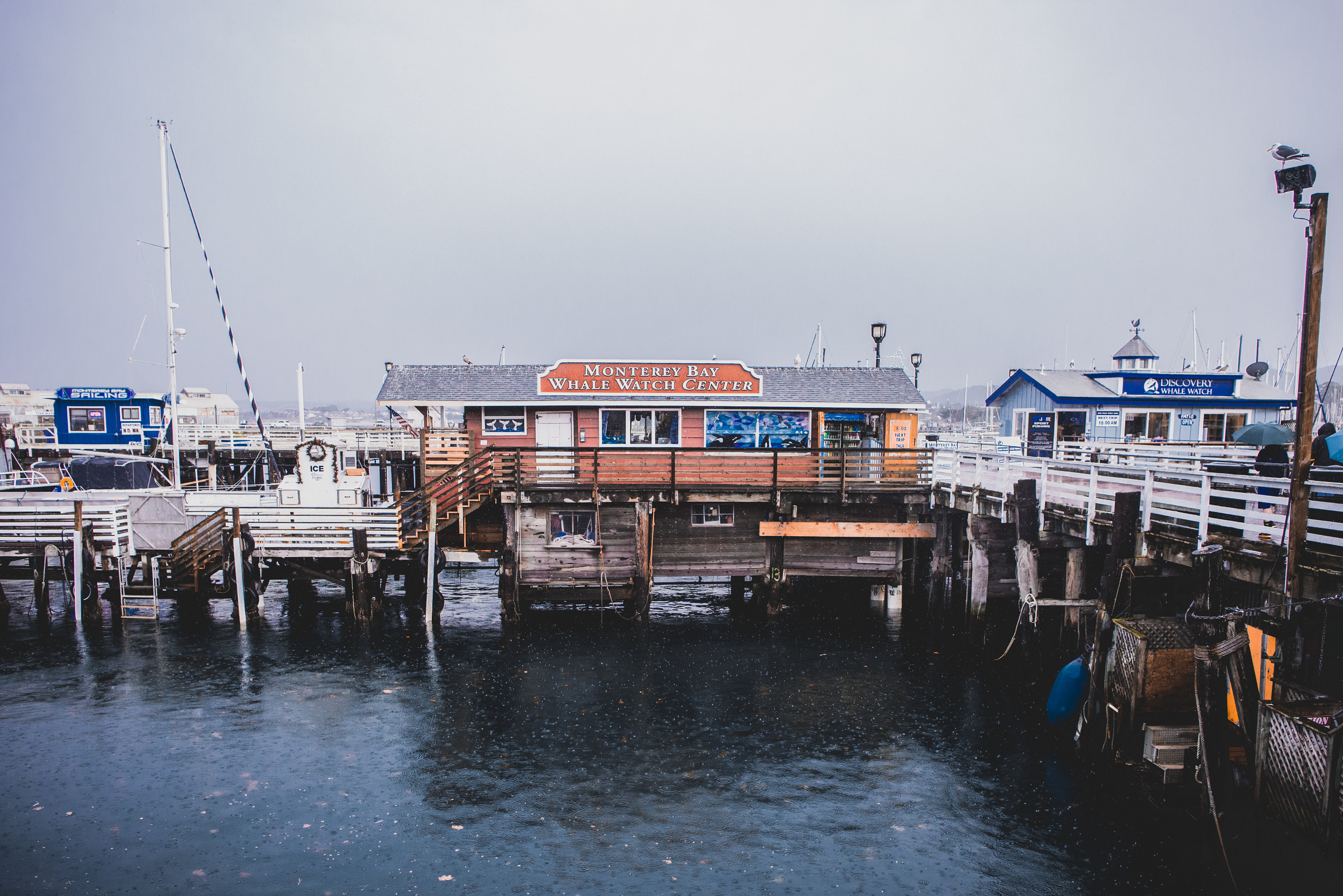 Fisherman's Wharf | Monterey