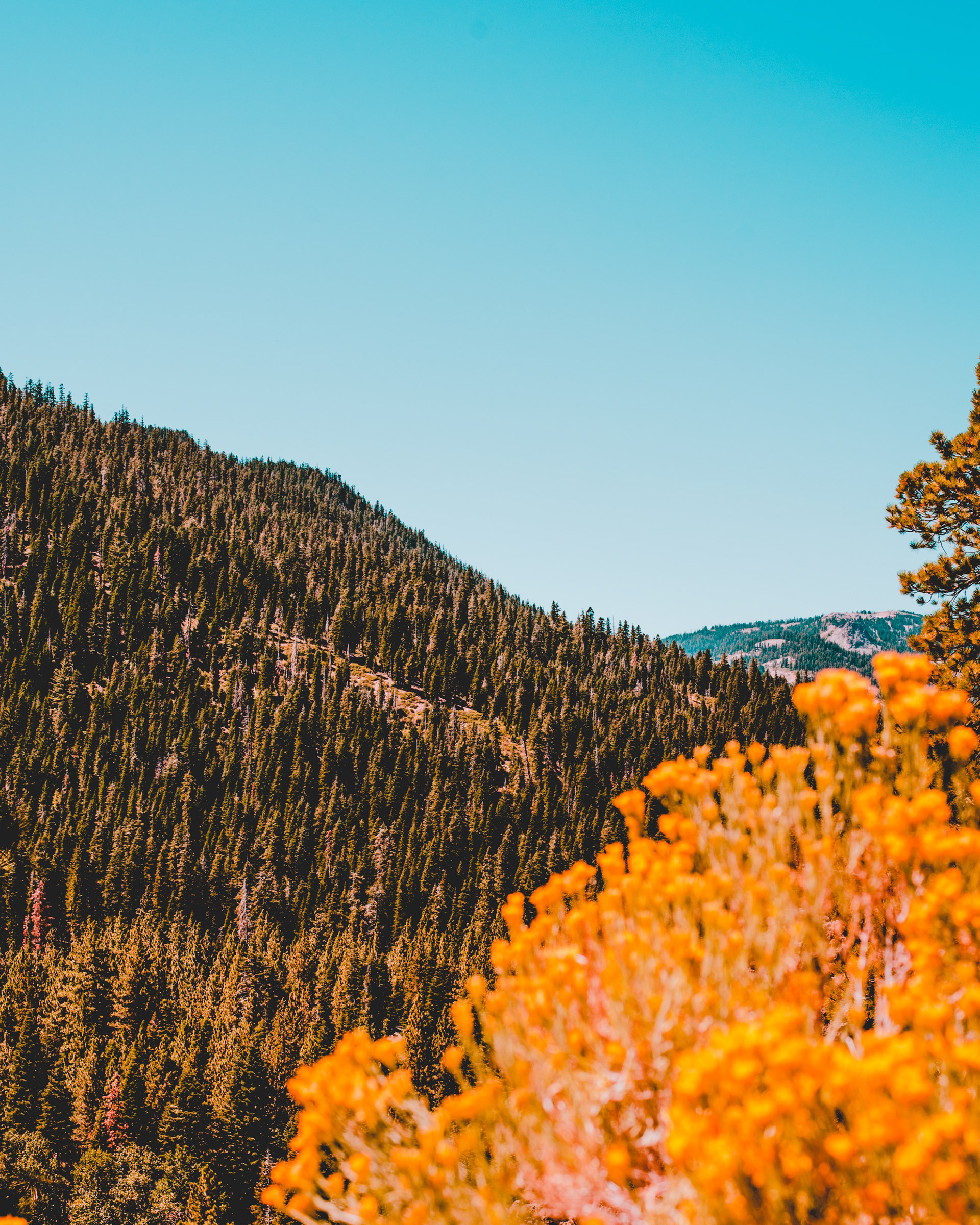Lake Tahoe | California