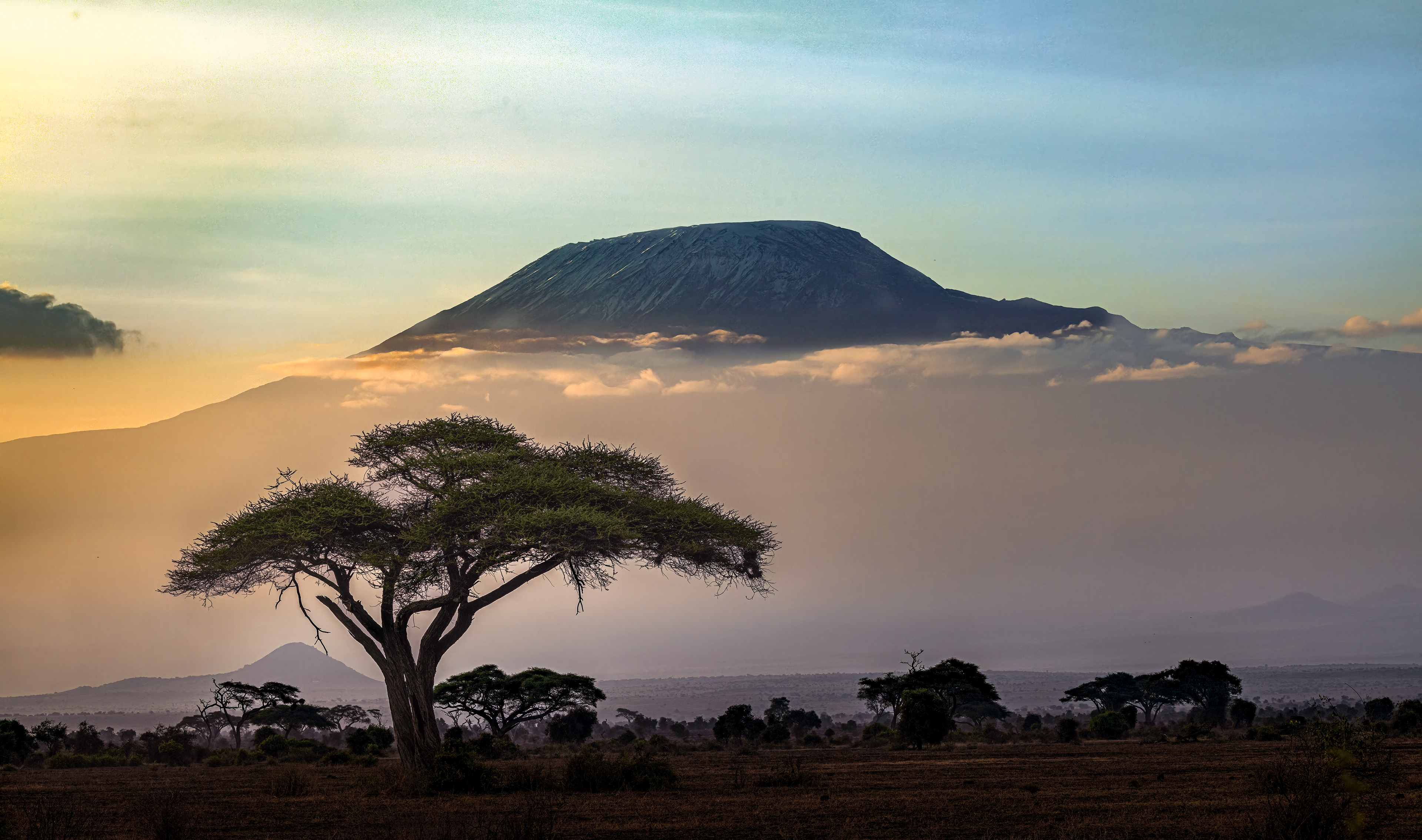 Mt. Kilimanjaro