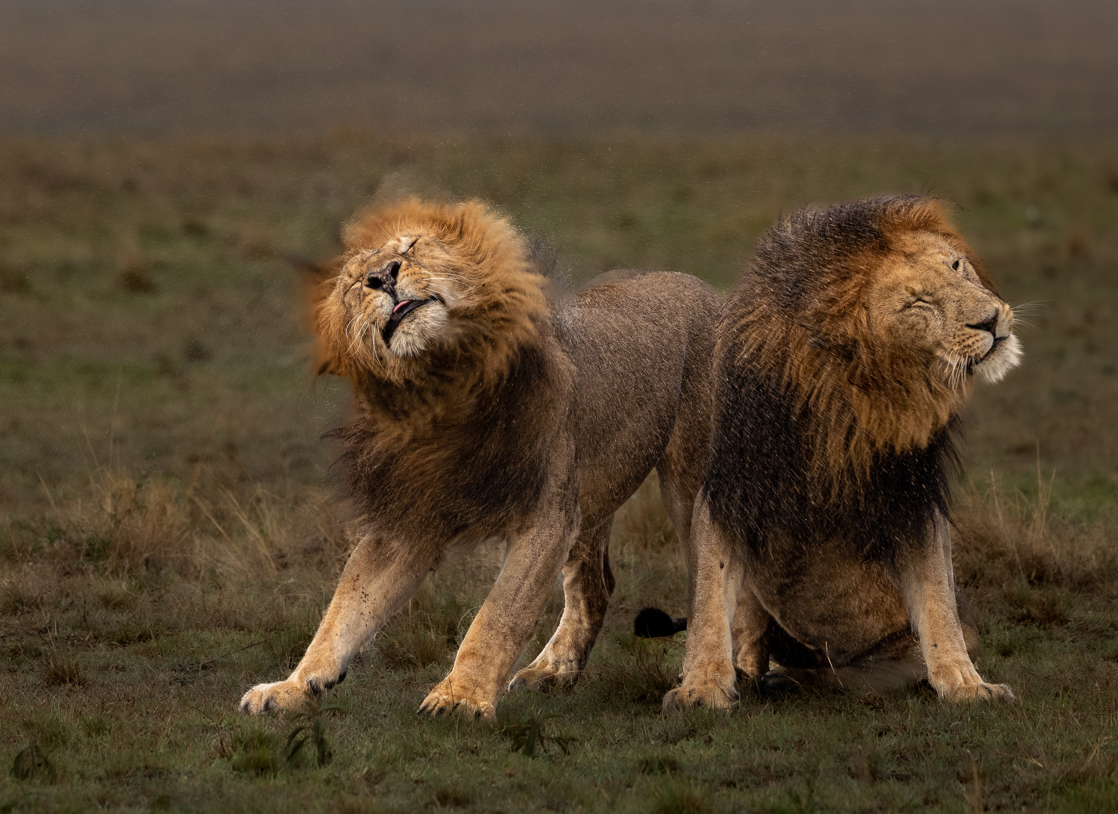 "Let's get out of the rain".
