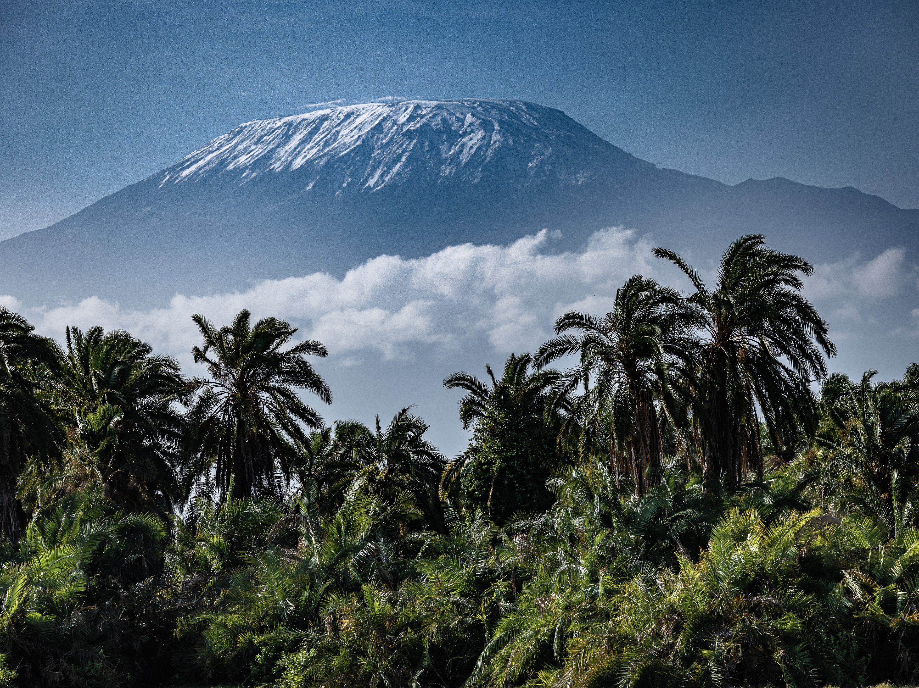 Mt. Kilimanjaro with snow