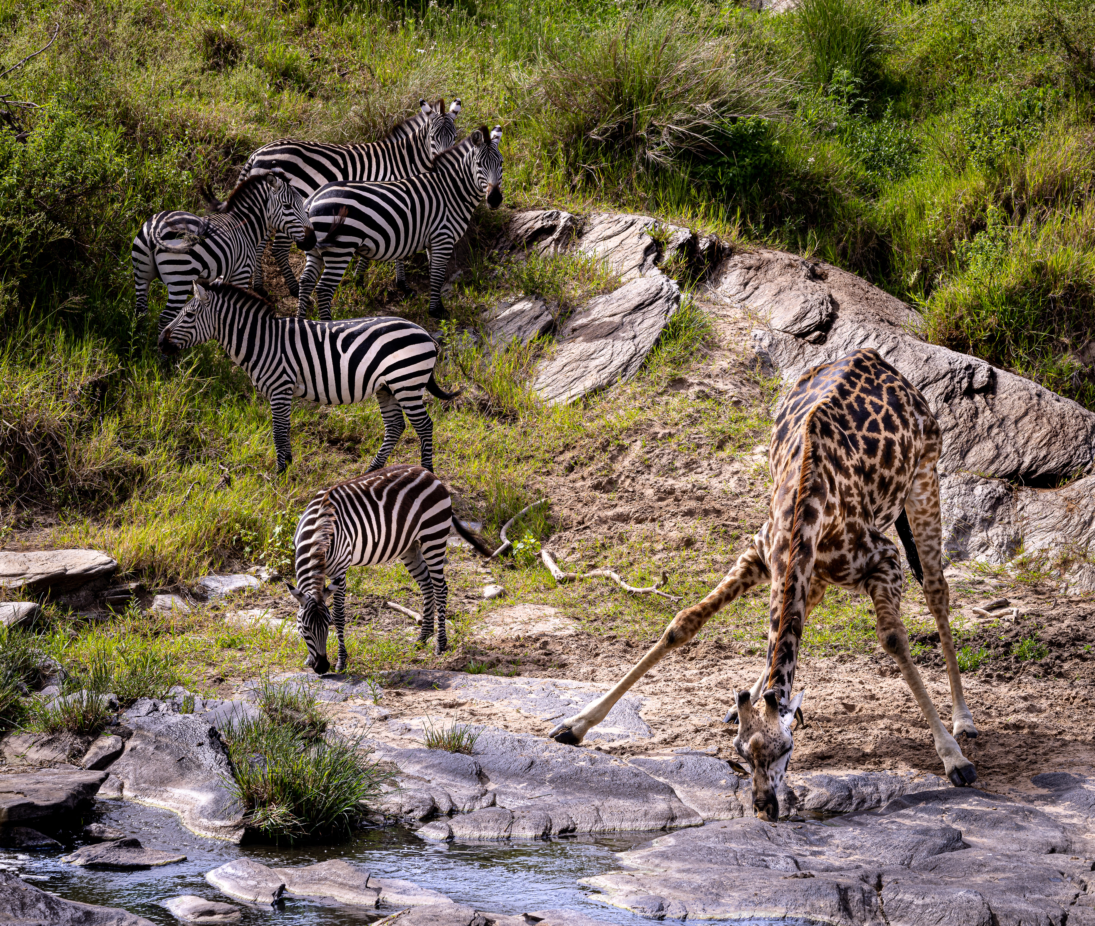 Practicing social distance