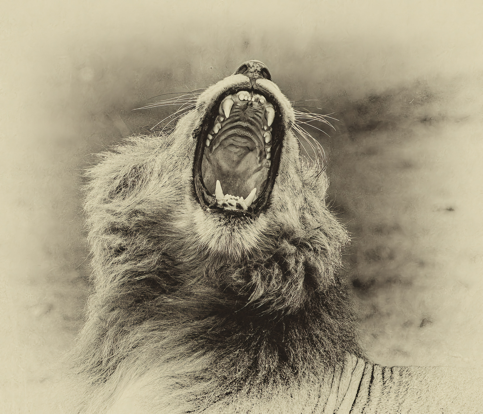 An Old Fashion Yawn