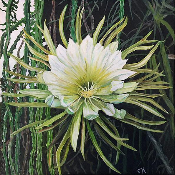 Queen of the night - acrylic