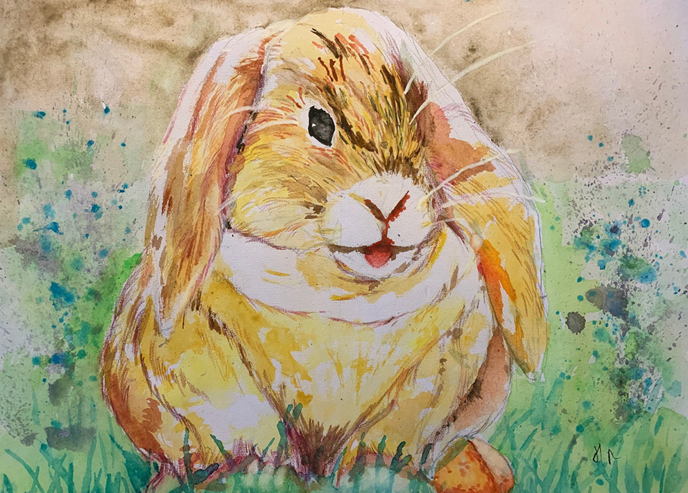 A fluffy rabbit - watercolour