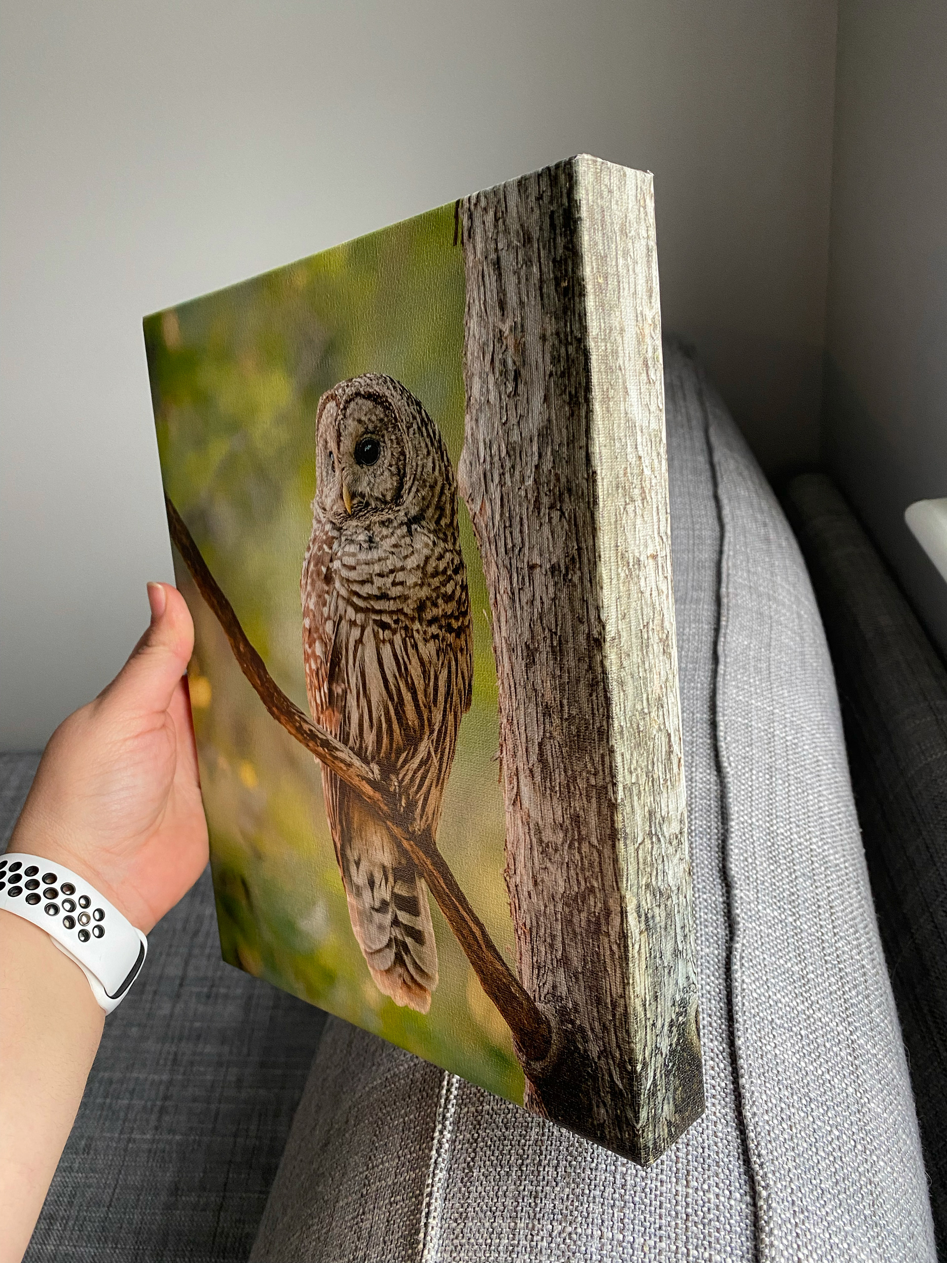 Canvas edge with the reflection image