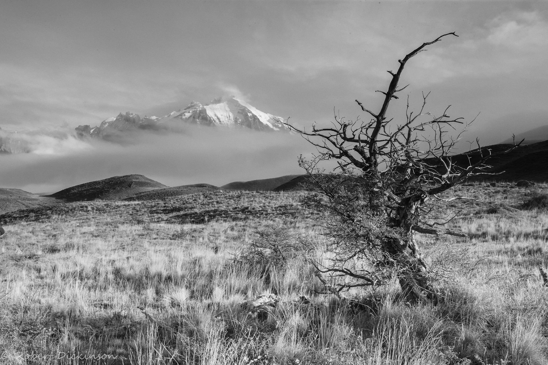 Torres del Paine National Park