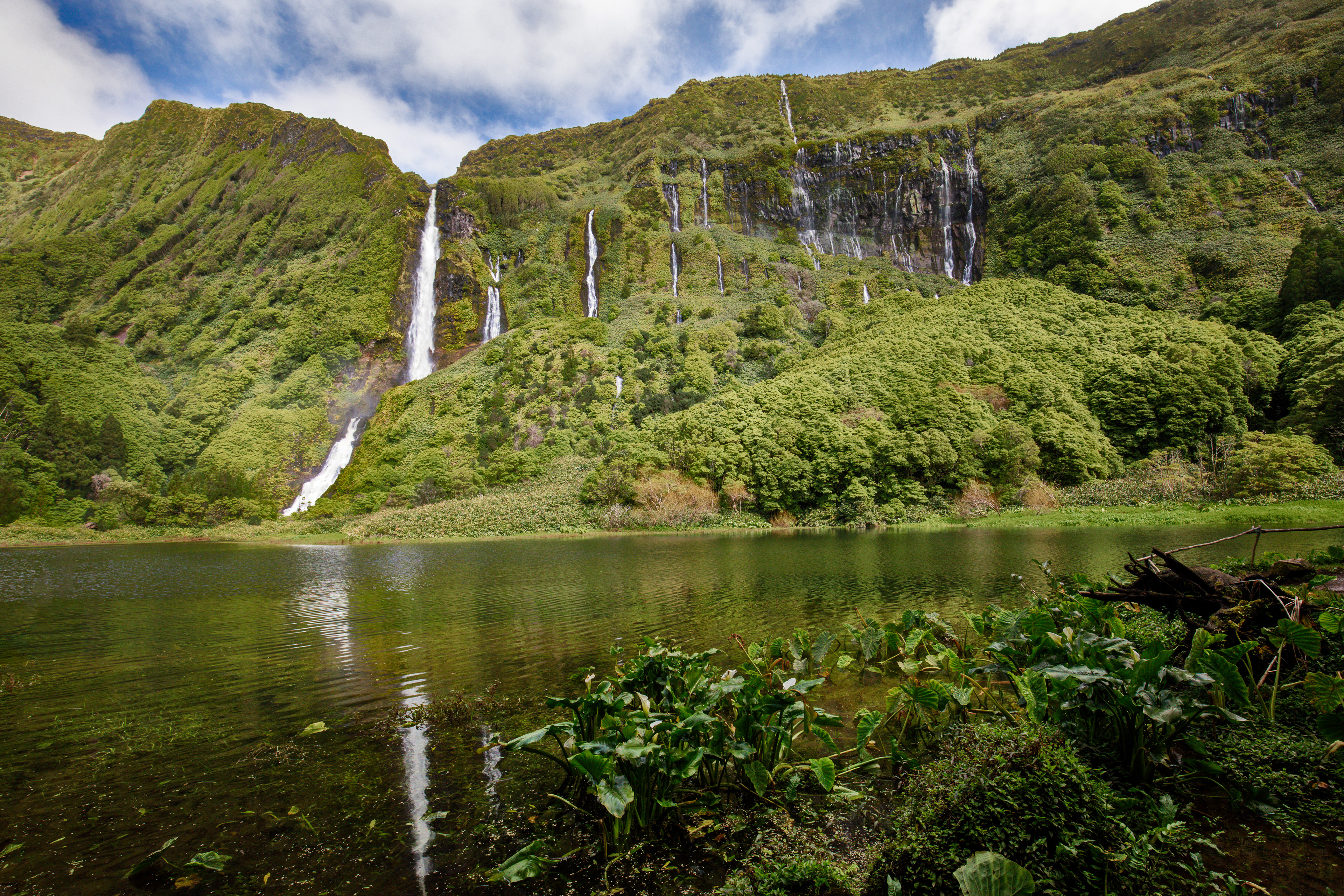 Cascata da Ribeira do Ferreiro, Ilha das Flores