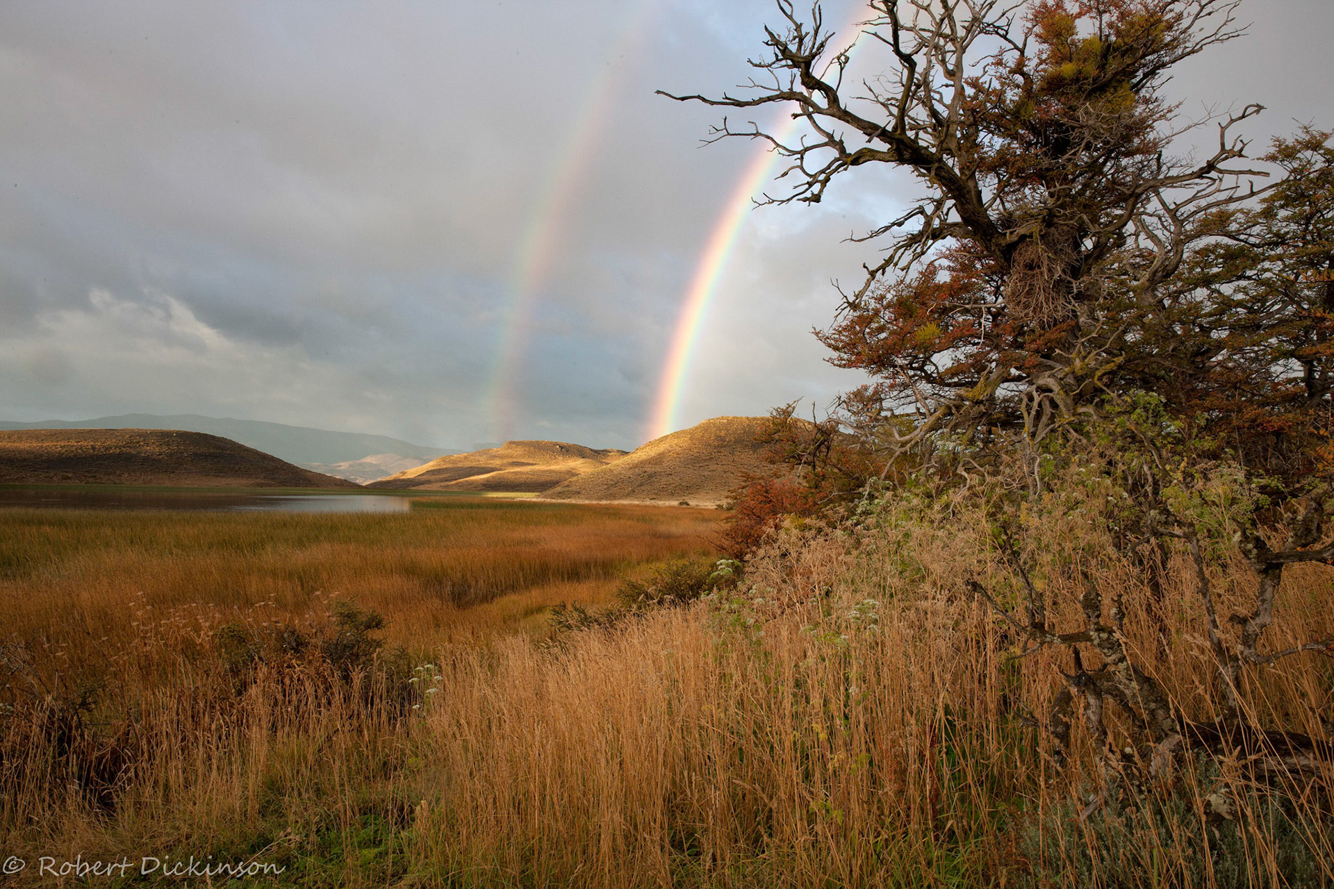 Torres del Paine National Park