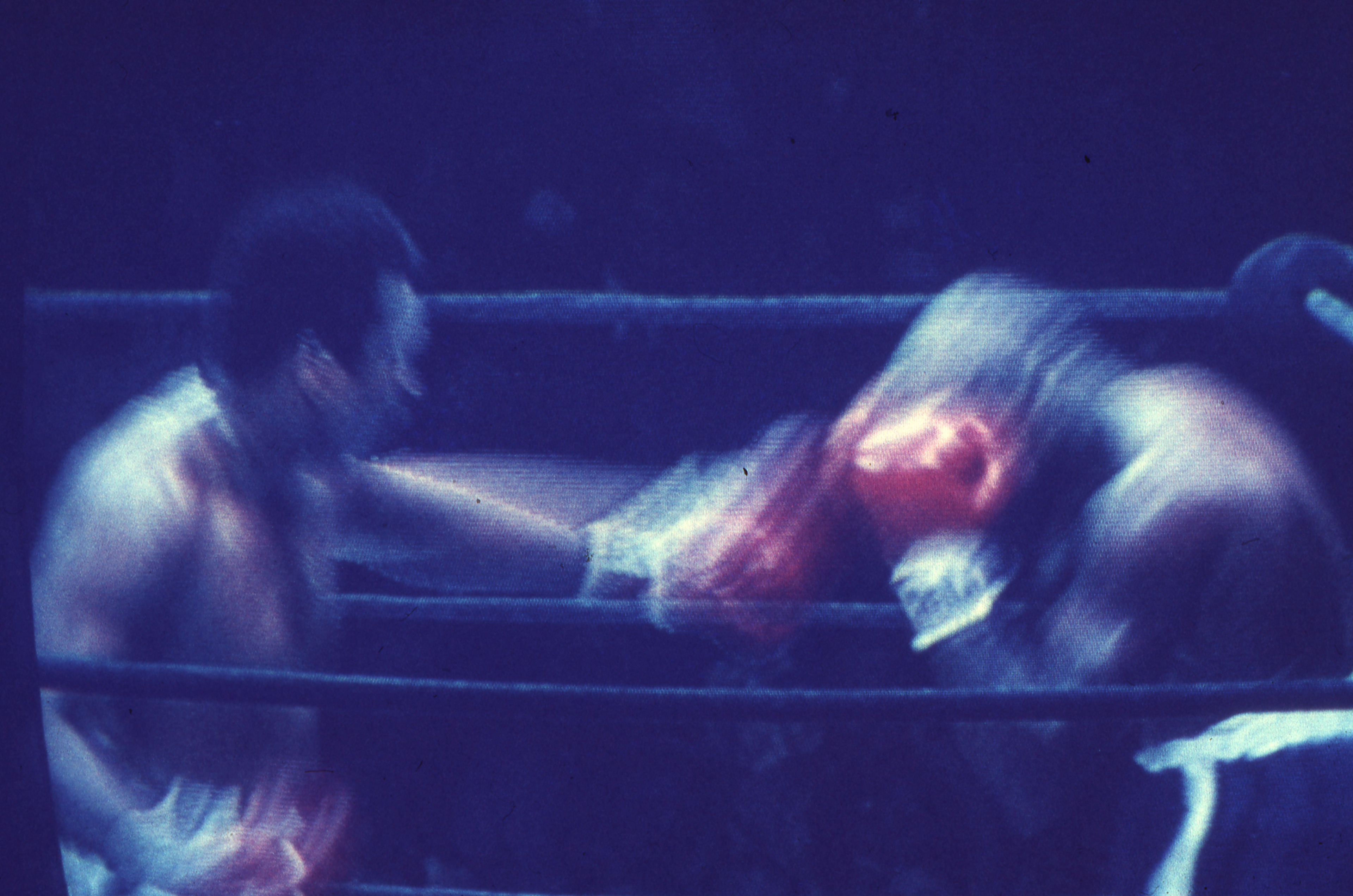 Heavyweight Fighters