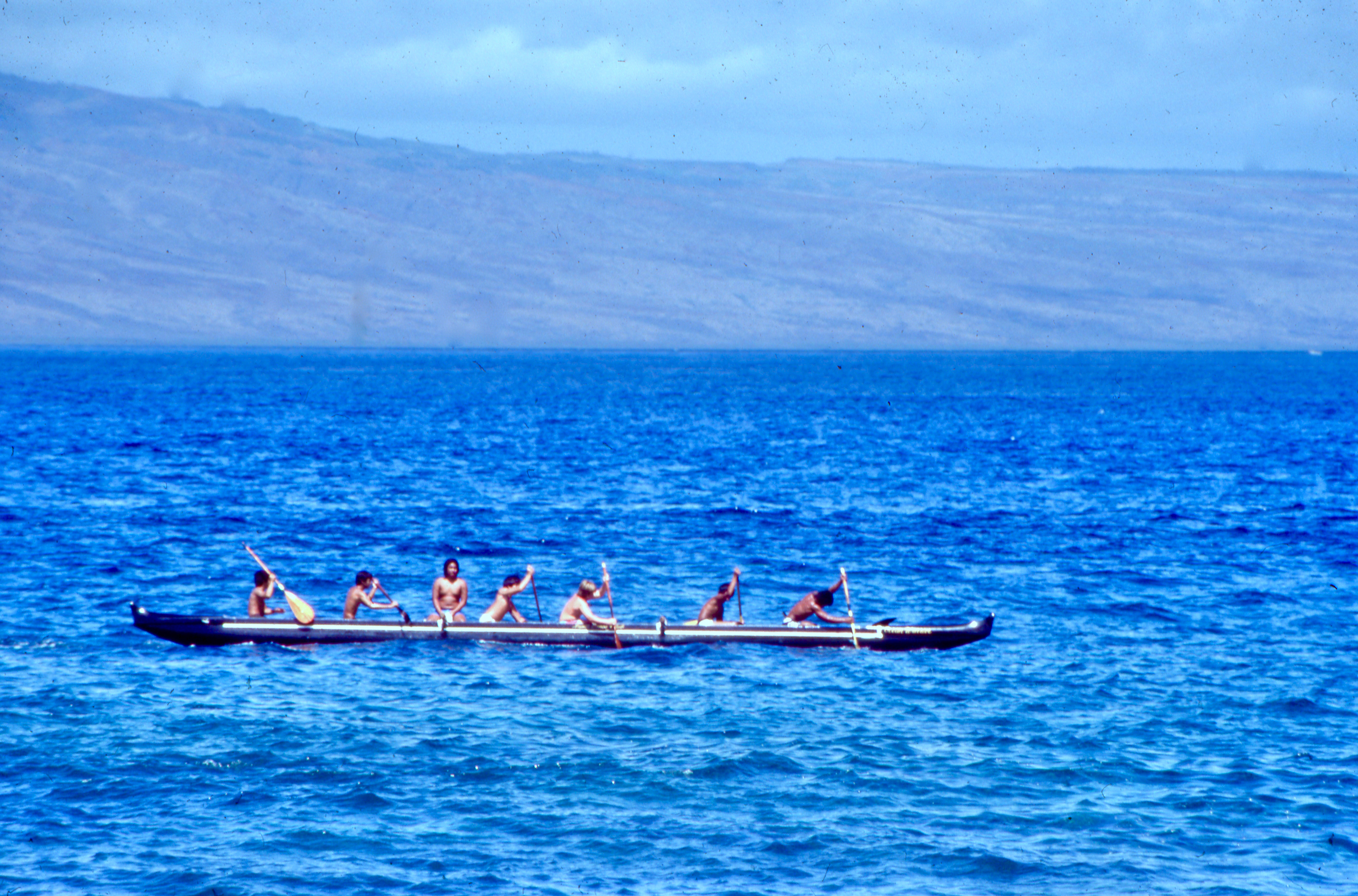 Hawaii Wanderings