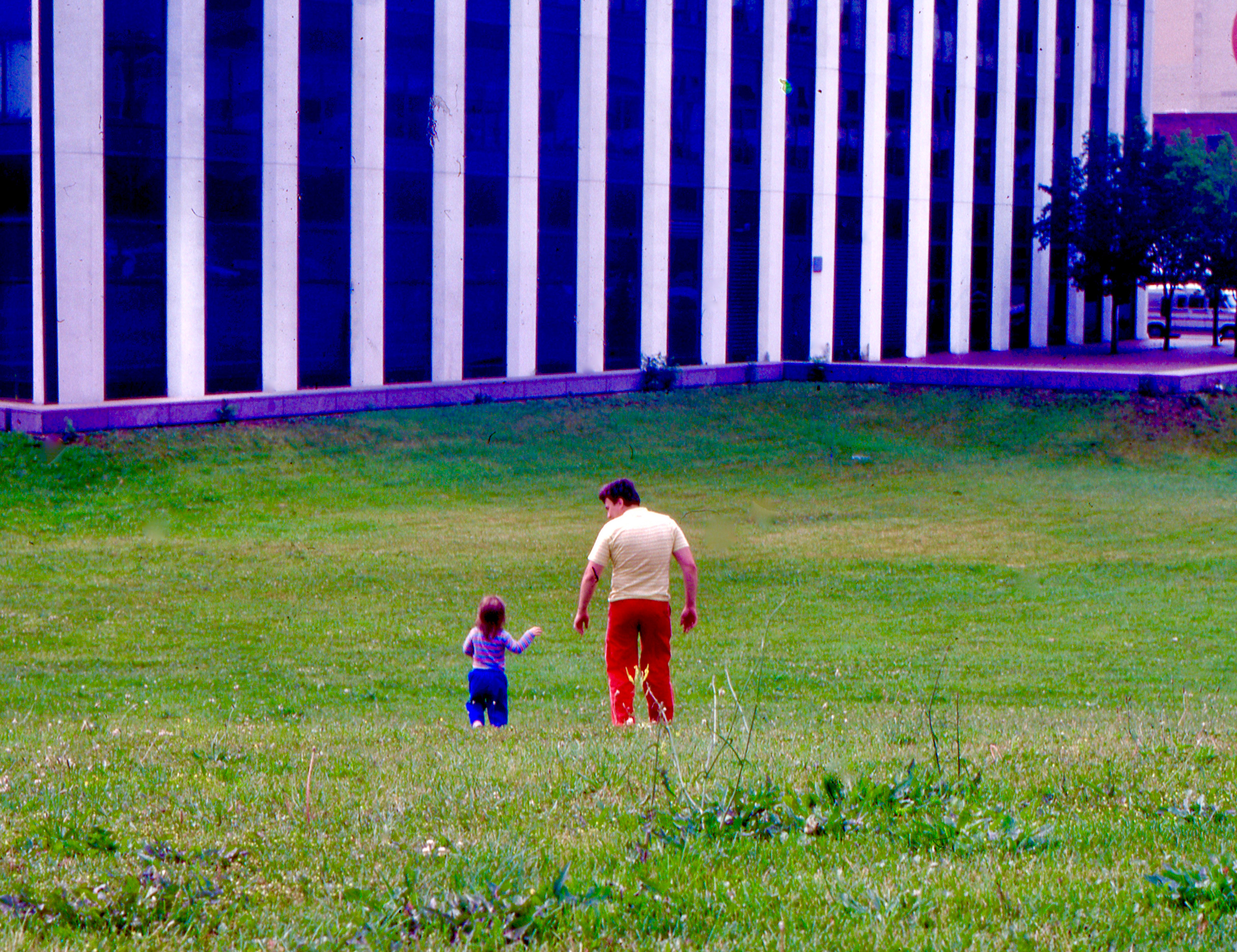 Human Landscape