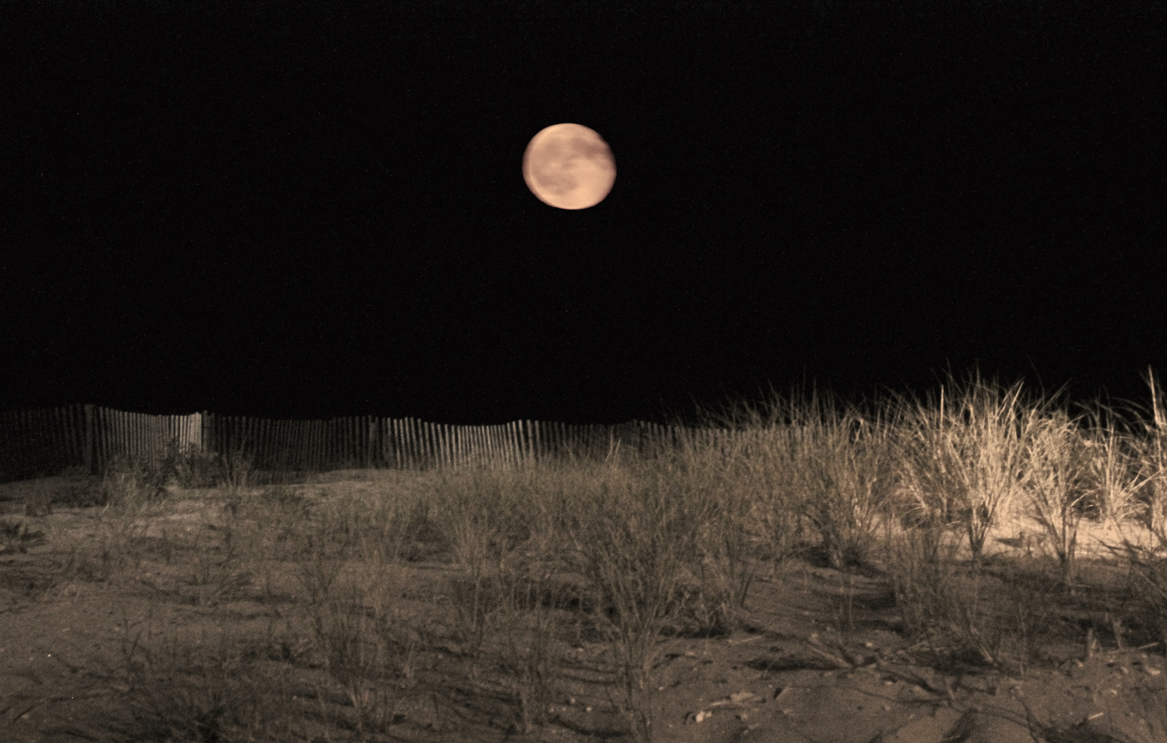Moon By The Ocean