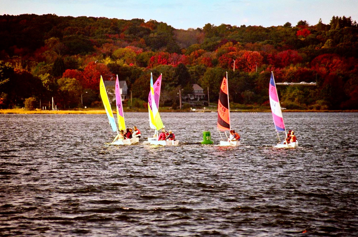Sailboat Parade