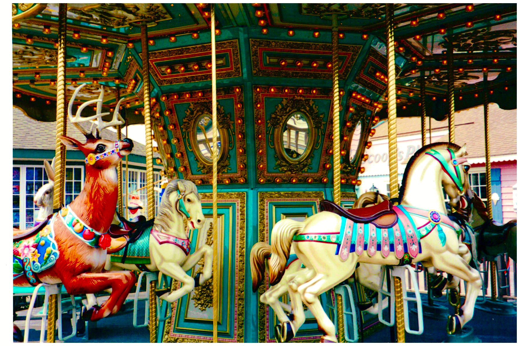 Carousel Memories