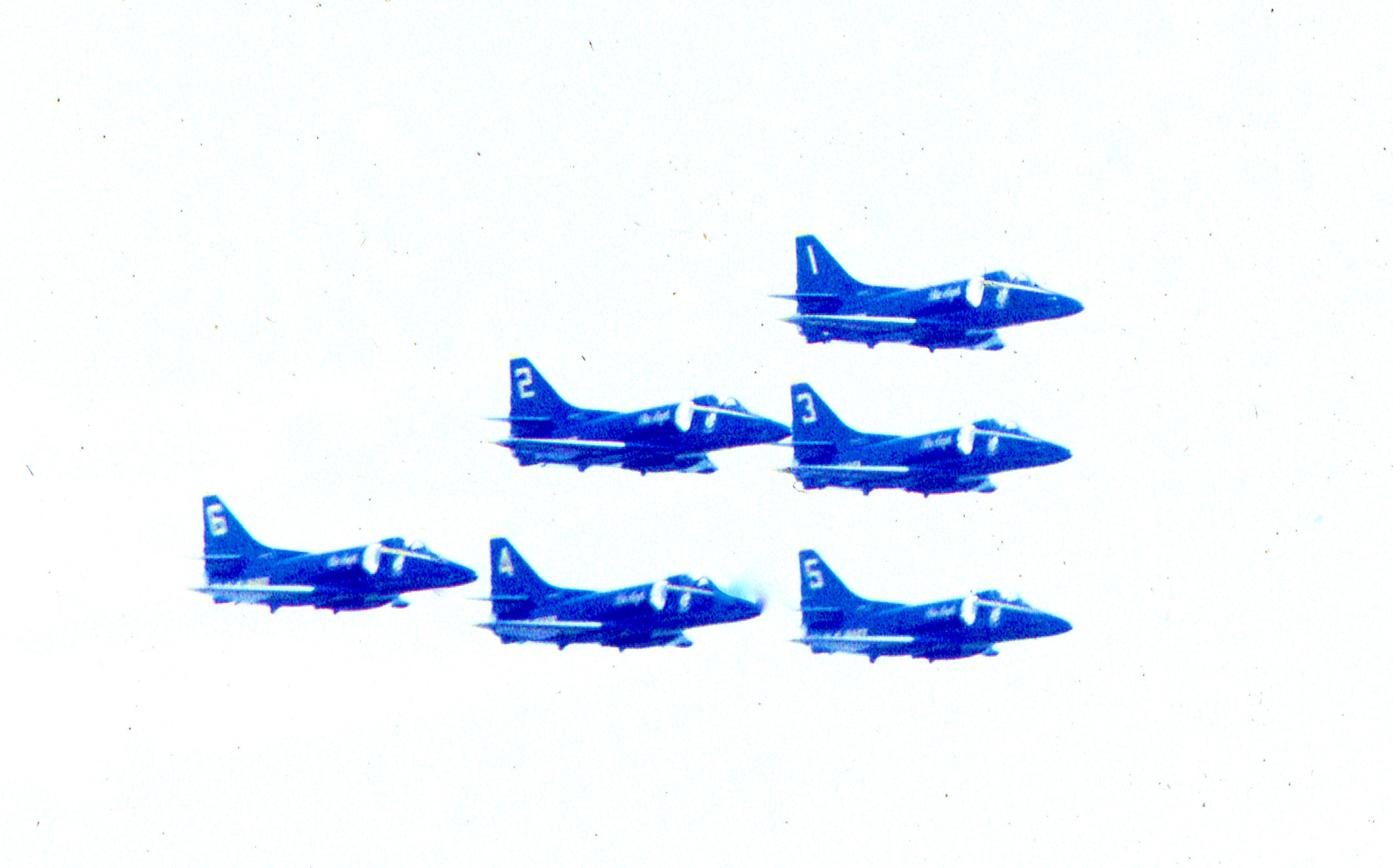 Blue Navy