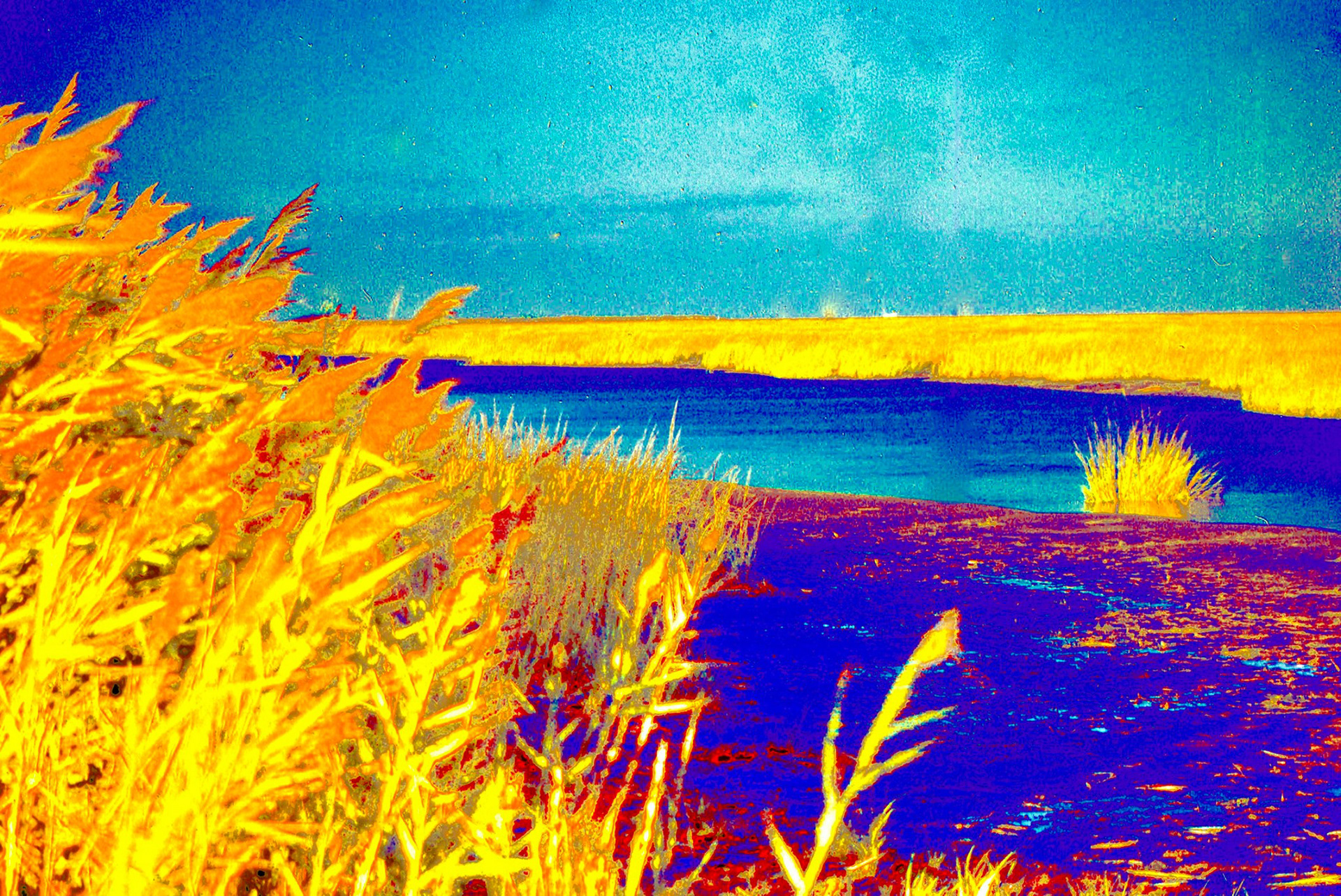 Color Pallatte