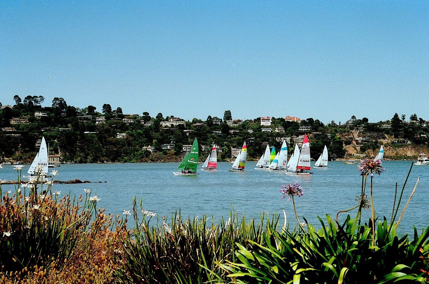 Sausalito Beauty