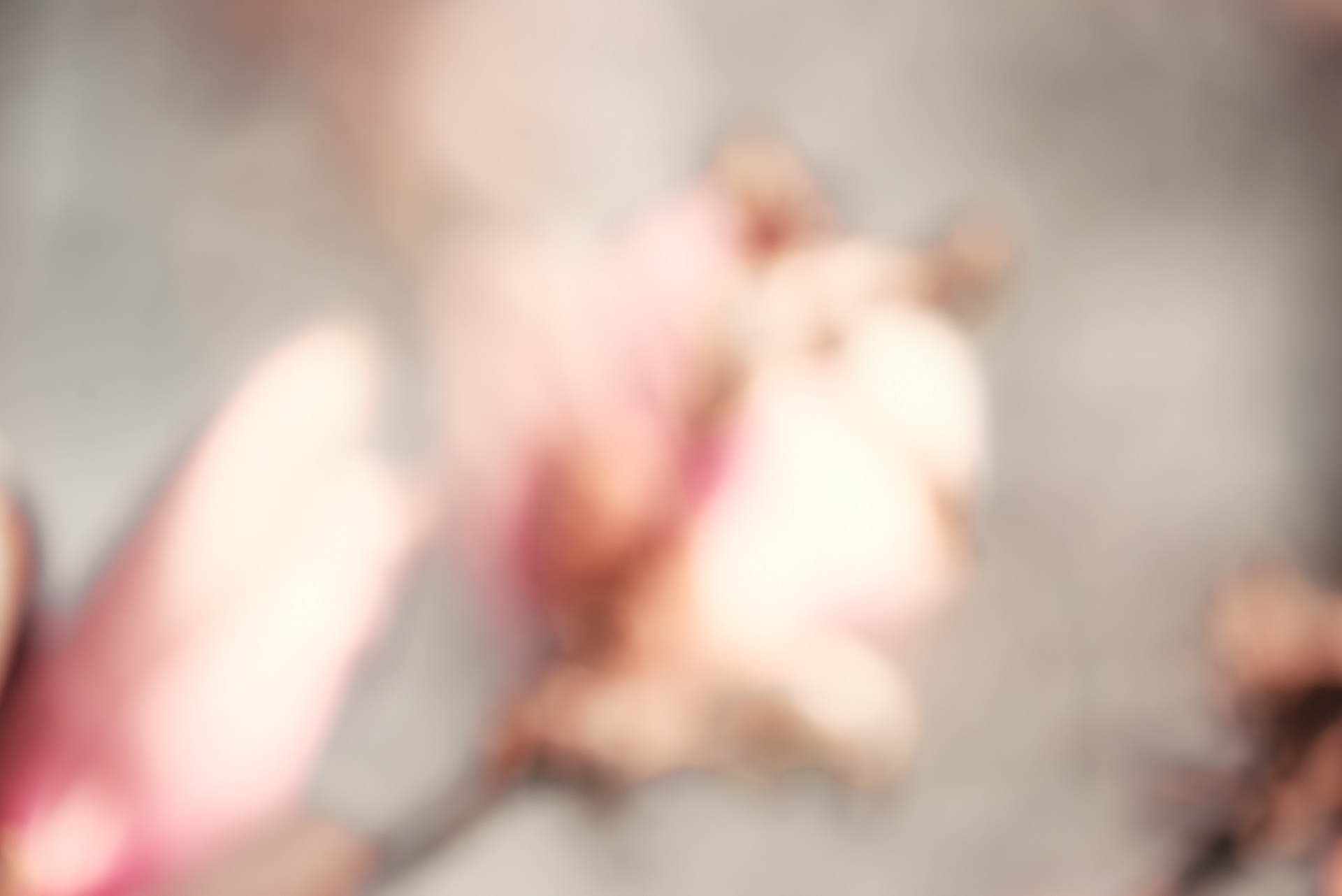 frühling vor dem balkon 4