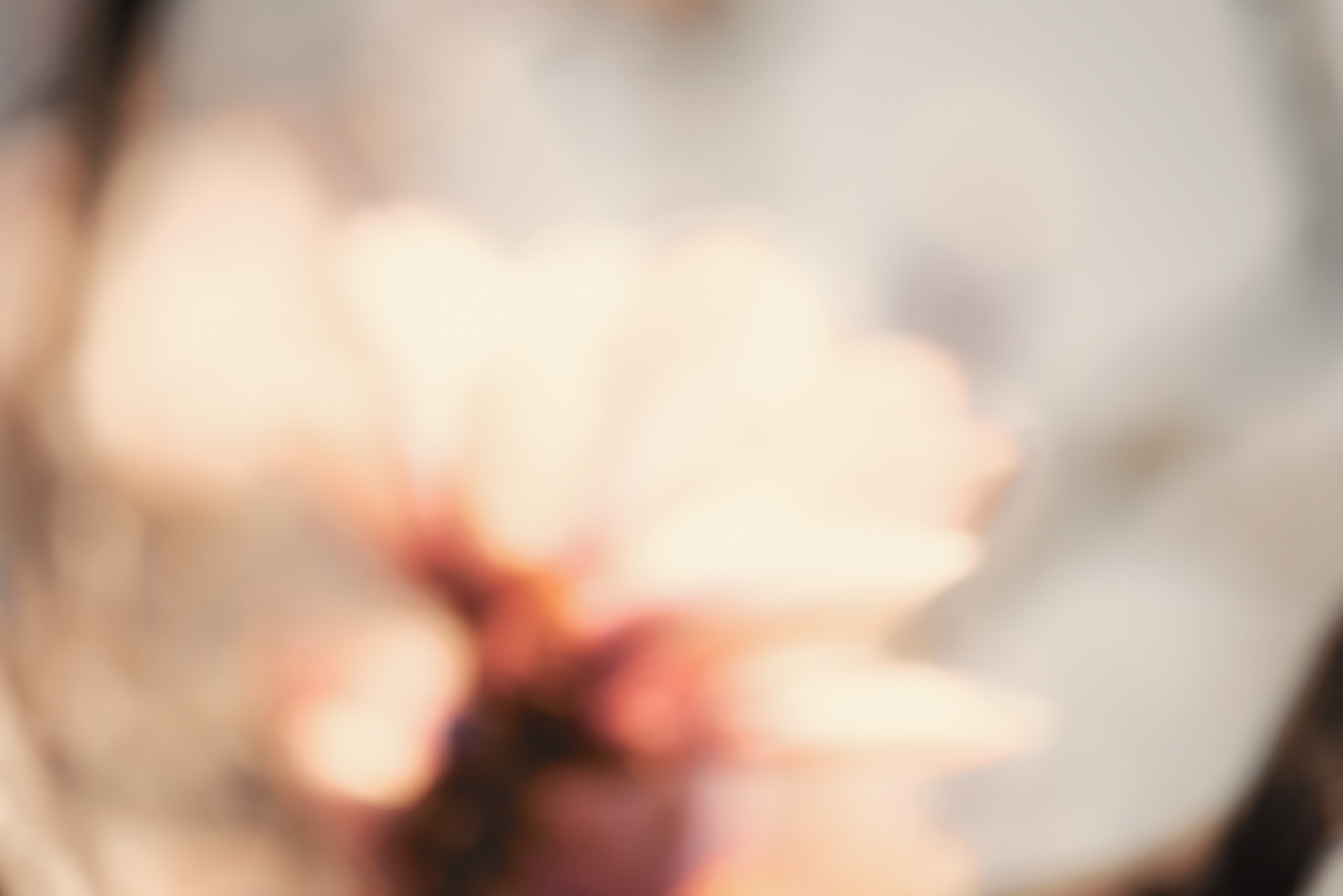 frühling vor dem balkon 1