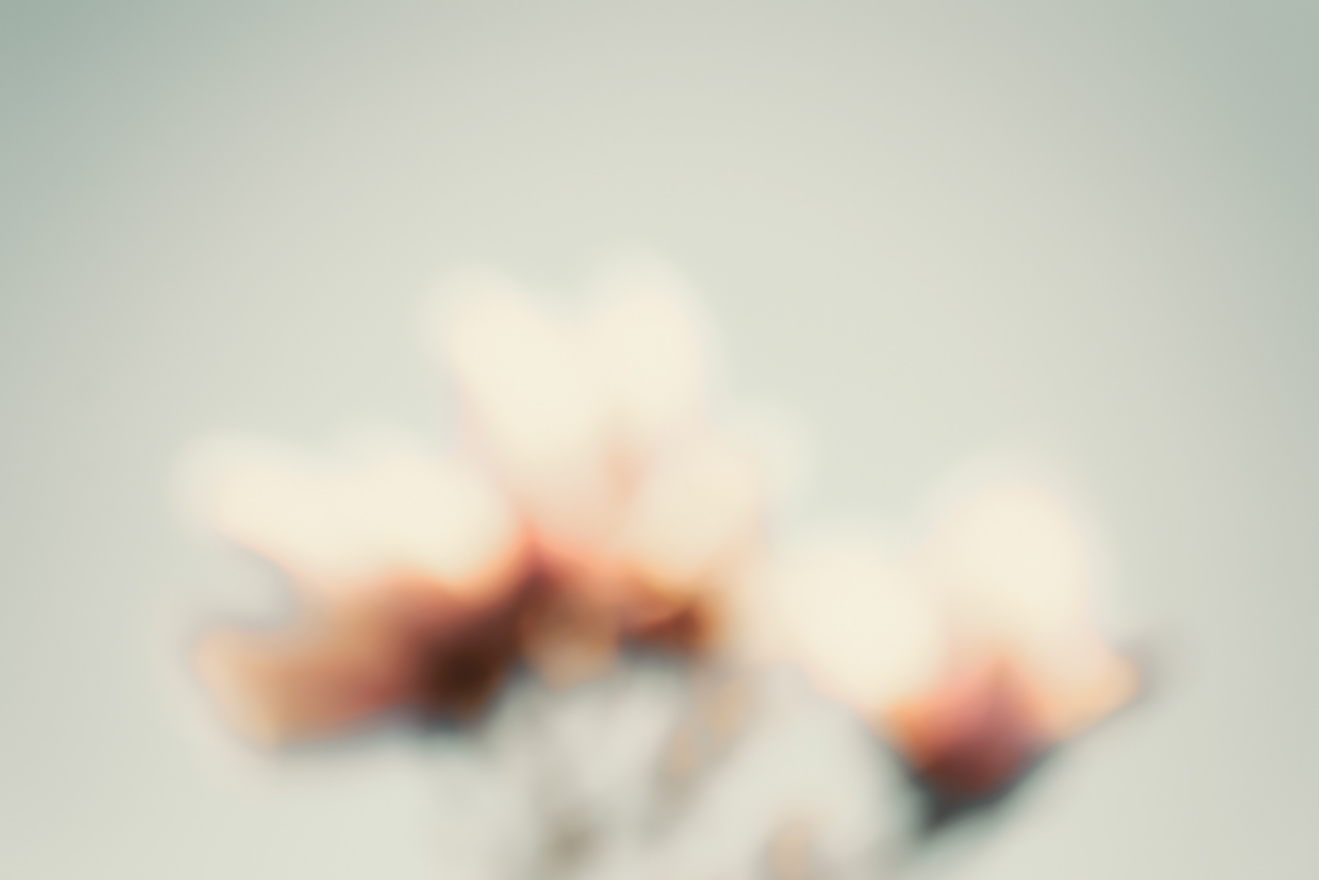 frühling vor dem balkon 5