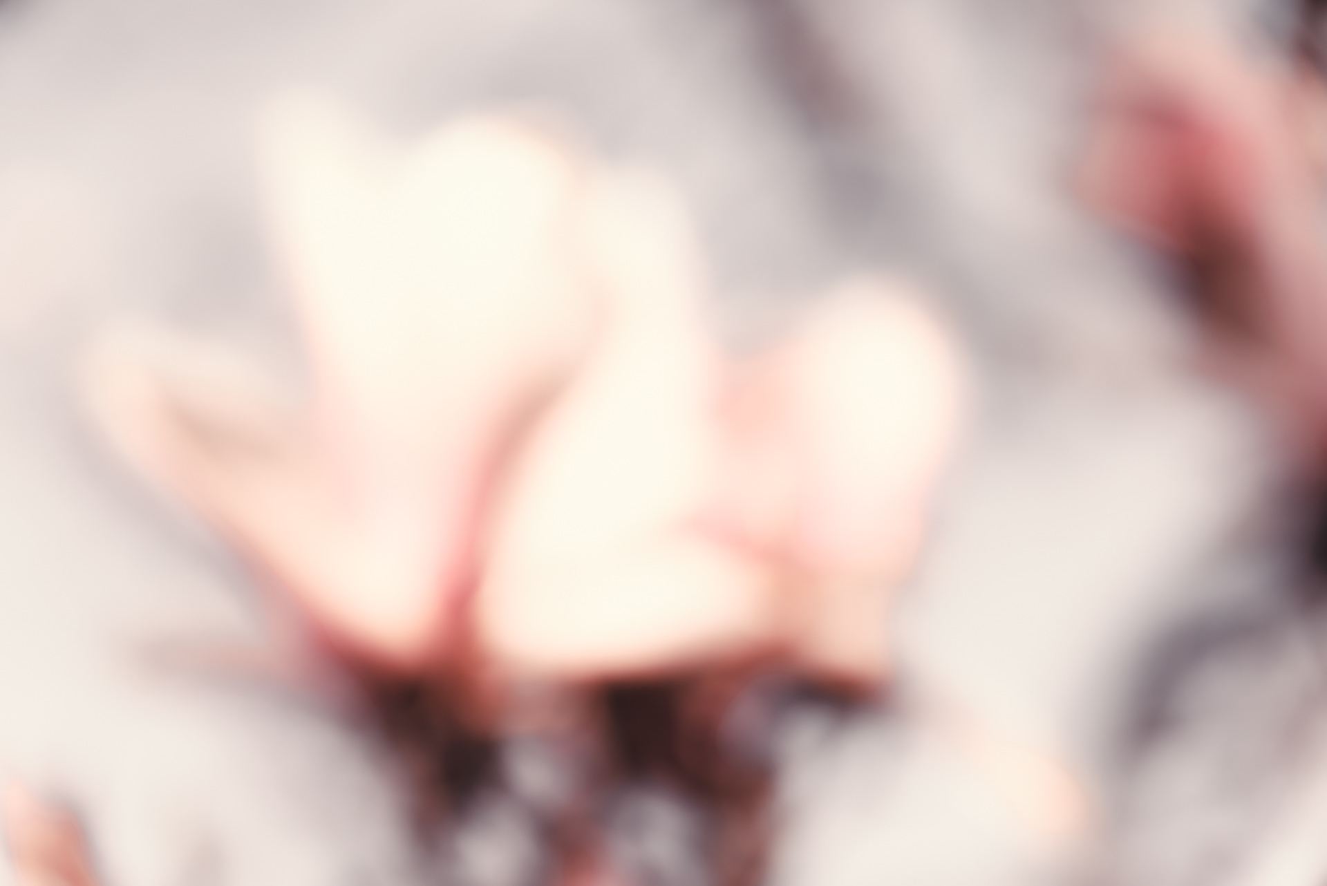 frühling vor dem balkon 6