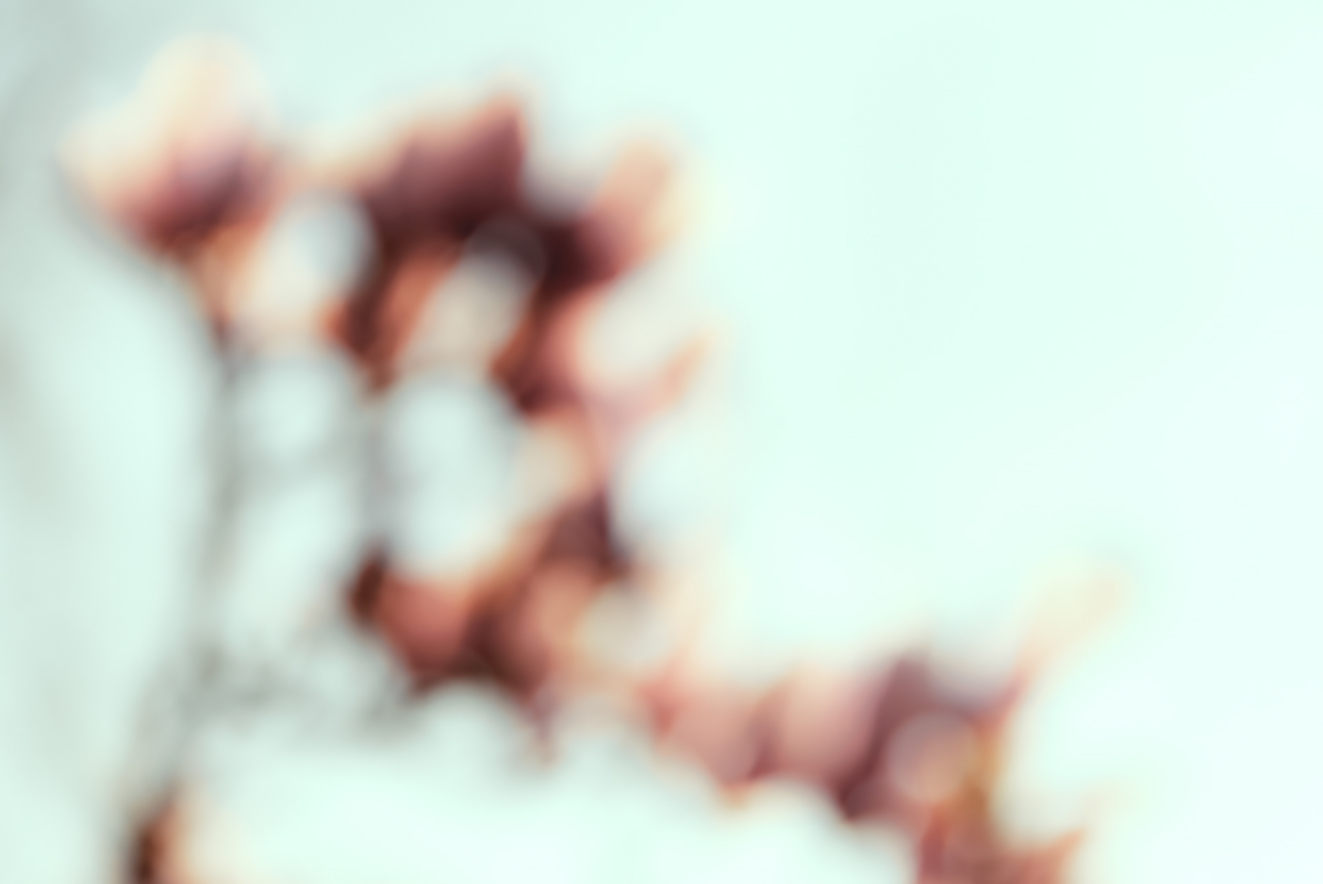 frühling vor dem balkon 3