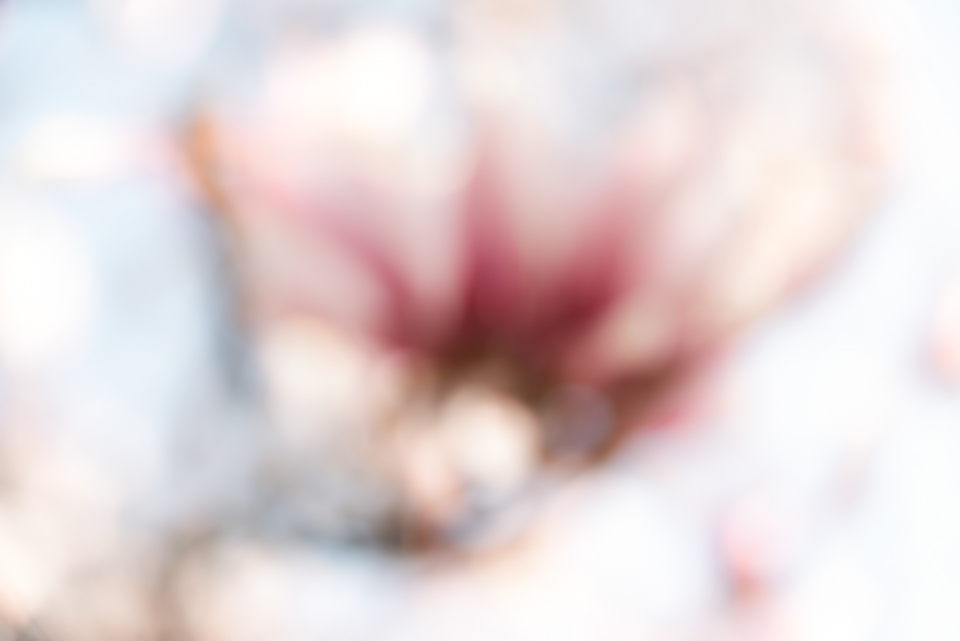 frühling vor dem balkon 2