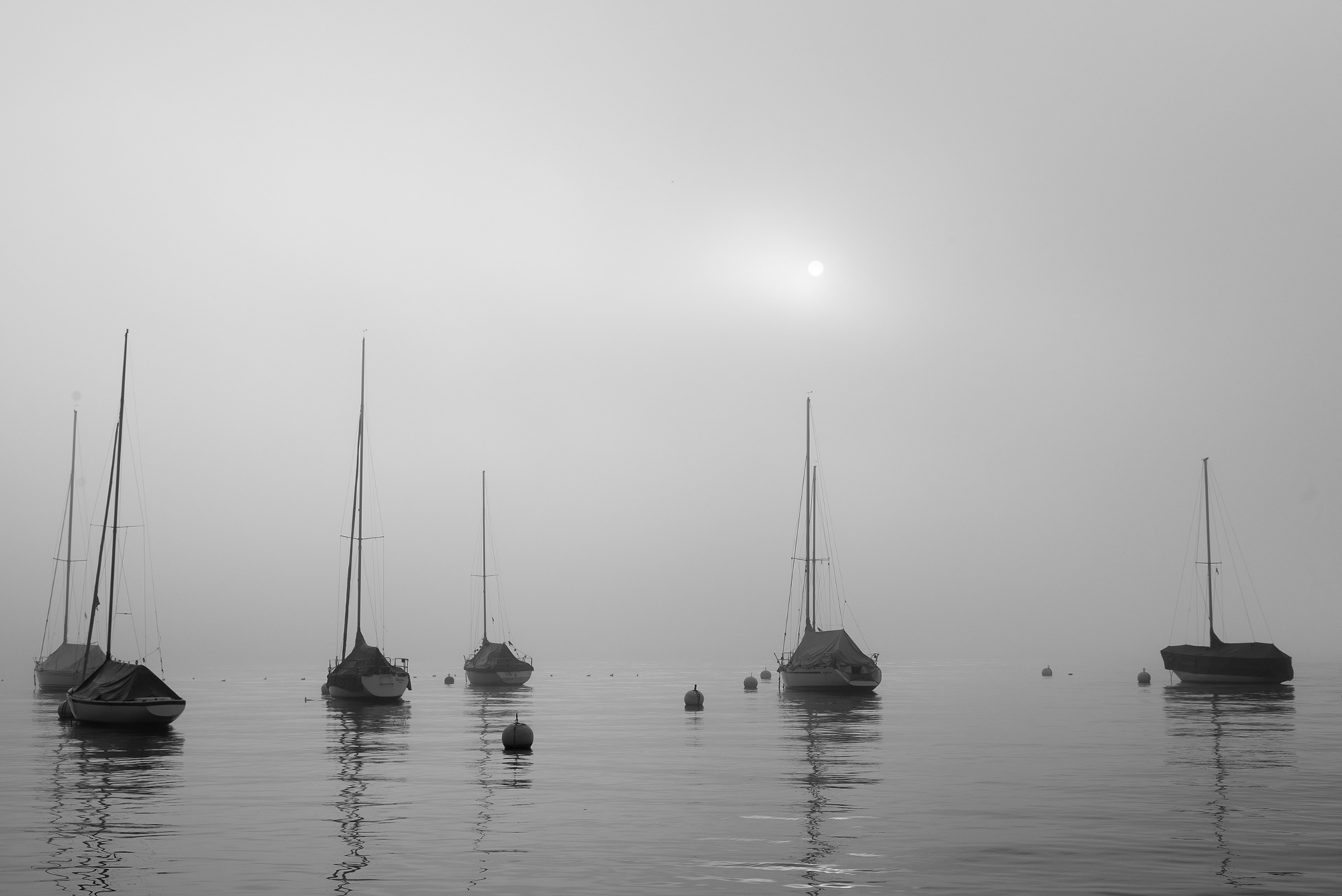 ships, fog and the sun