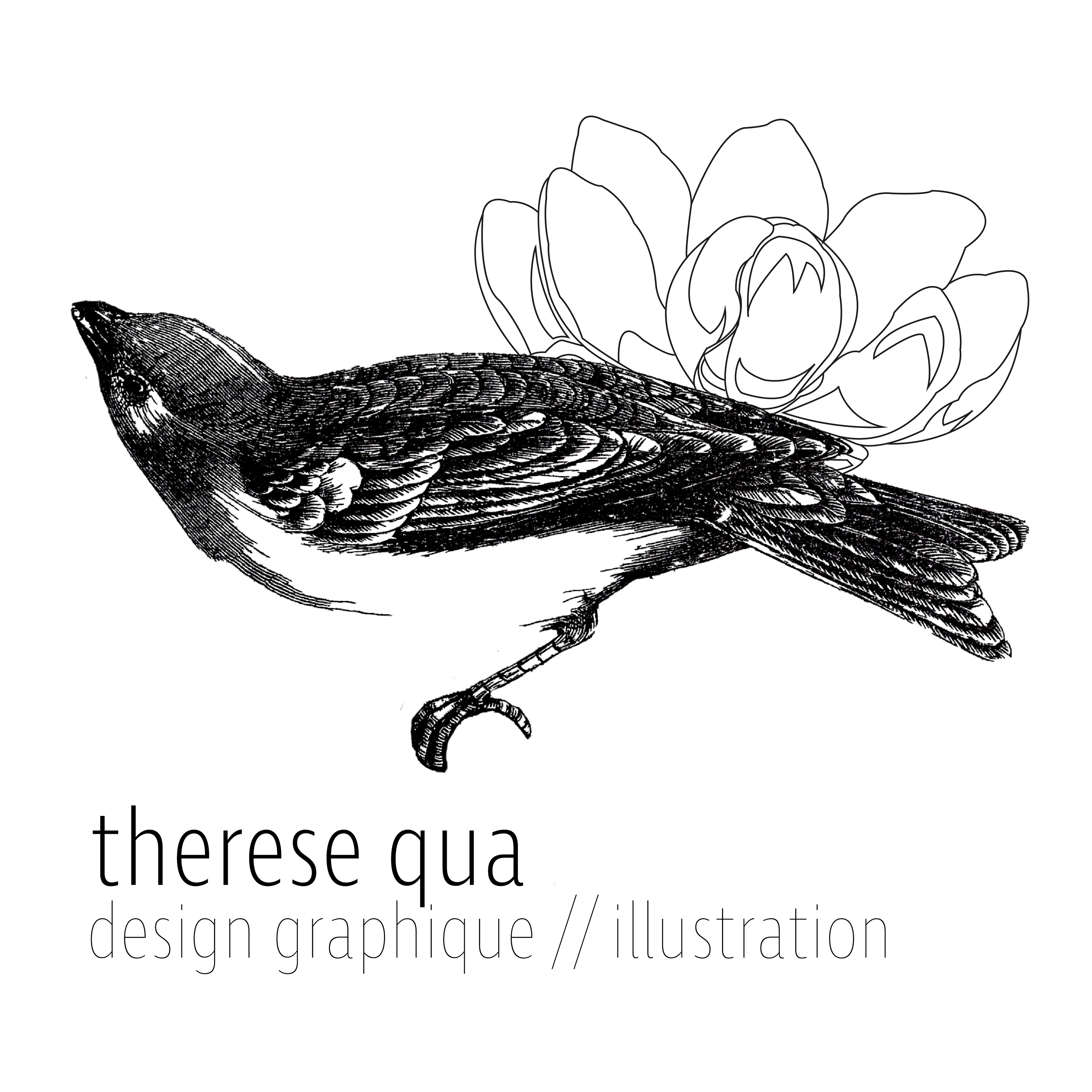 Thérèse Qua. - Graphiste - Illustratrice