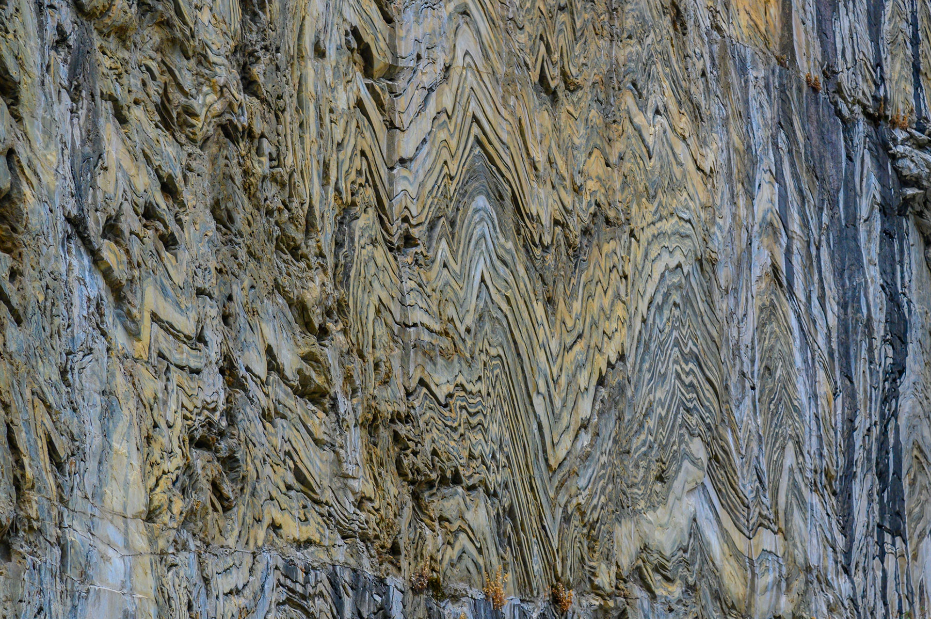 Rock Folds