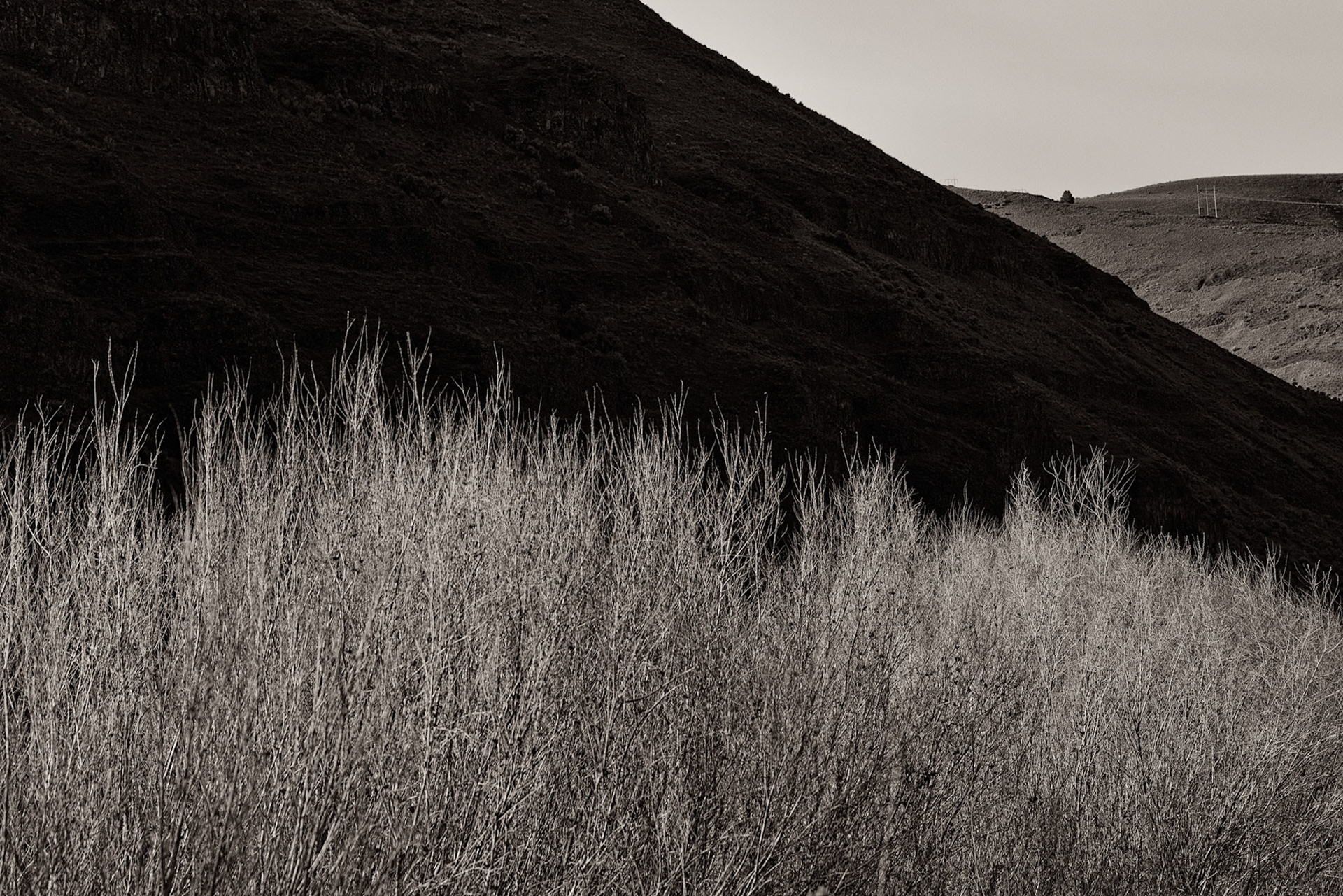 Cottonwood Canyon-9
