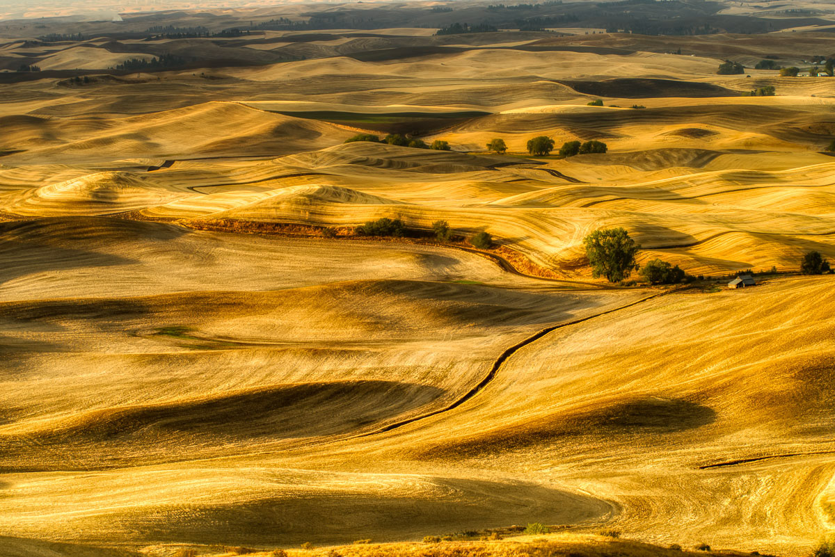 1A–Steptoe Butte, Palouse *2021 Honorable Mention, Landscape*