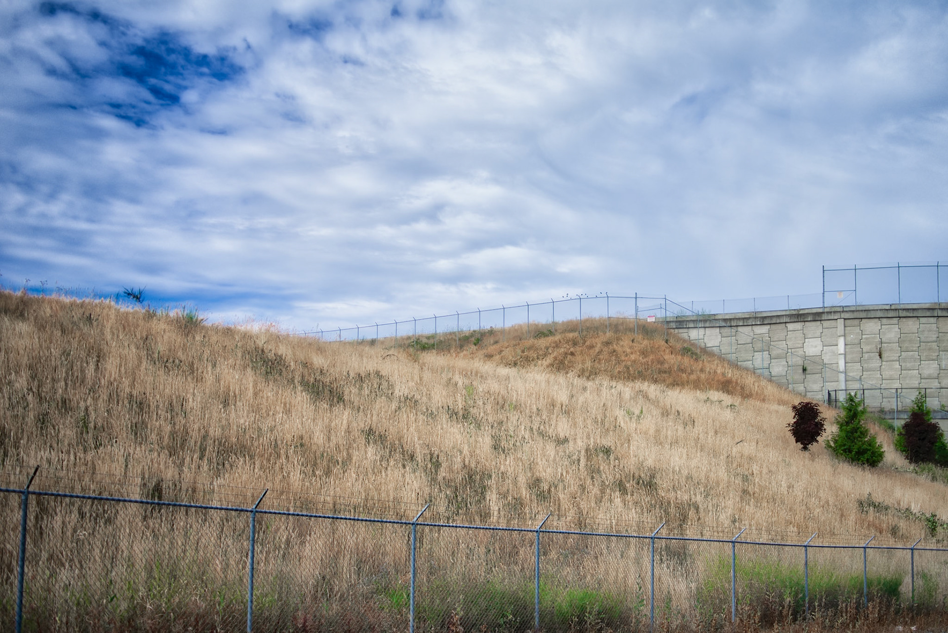 SW hillside