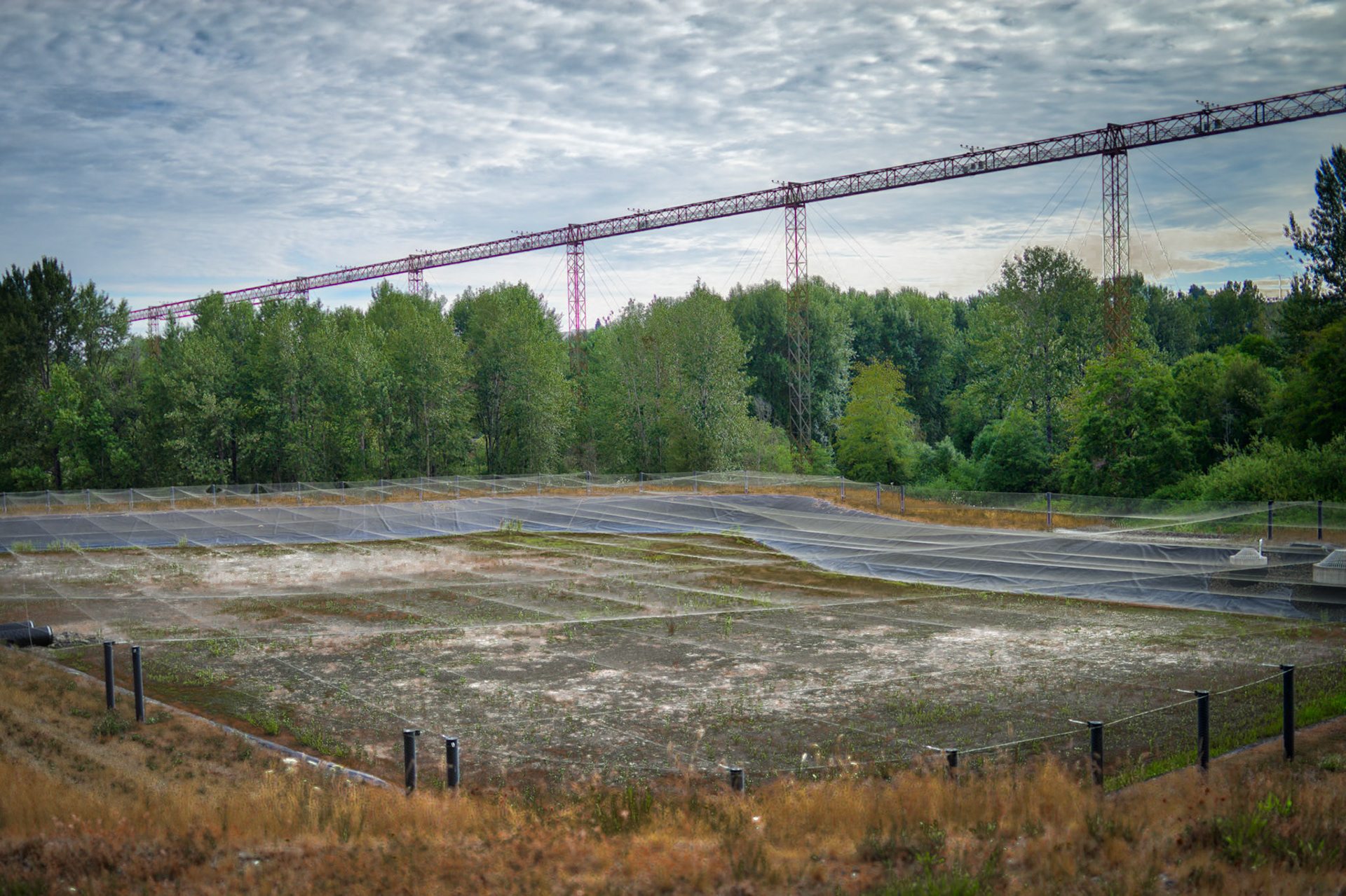 Storm water retention; Netting to prevent large bird access