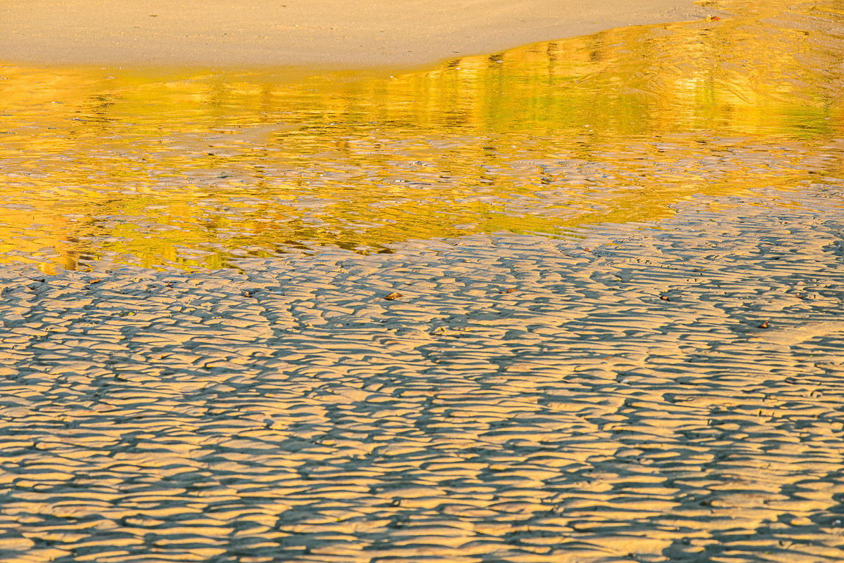 1-Low Tide, Vashon Island, Washington