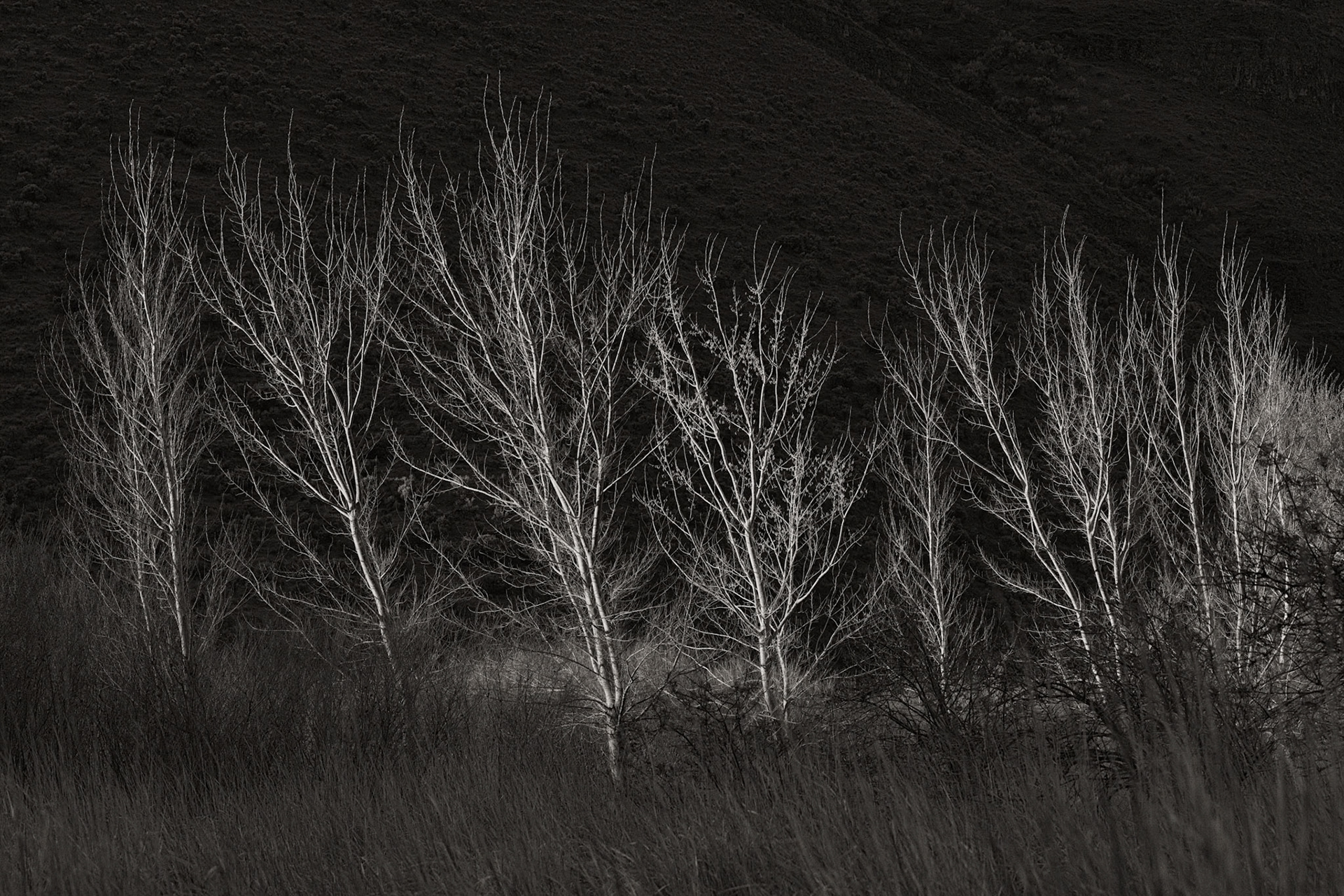 Cottonwood Canyon-5