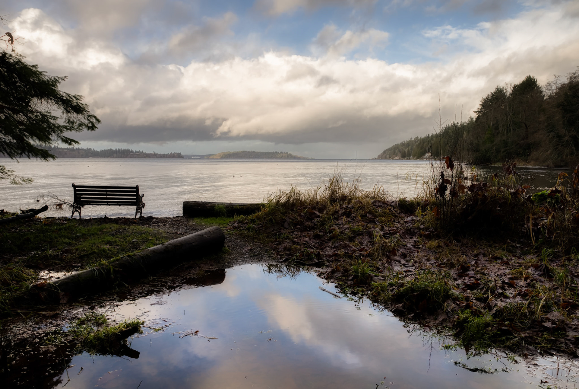 Fern Cove Meditation Bench, High Tide