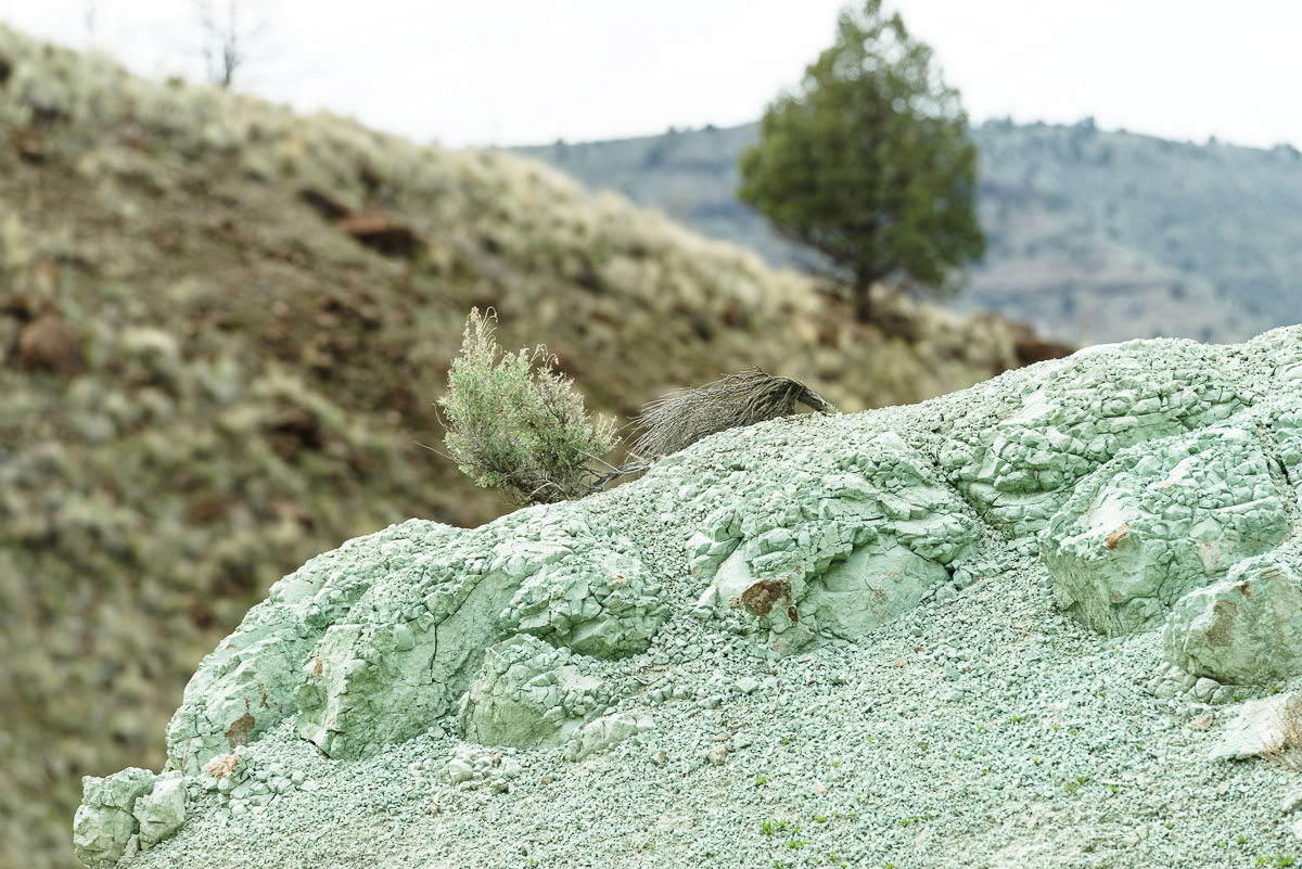 Blue Basin-10