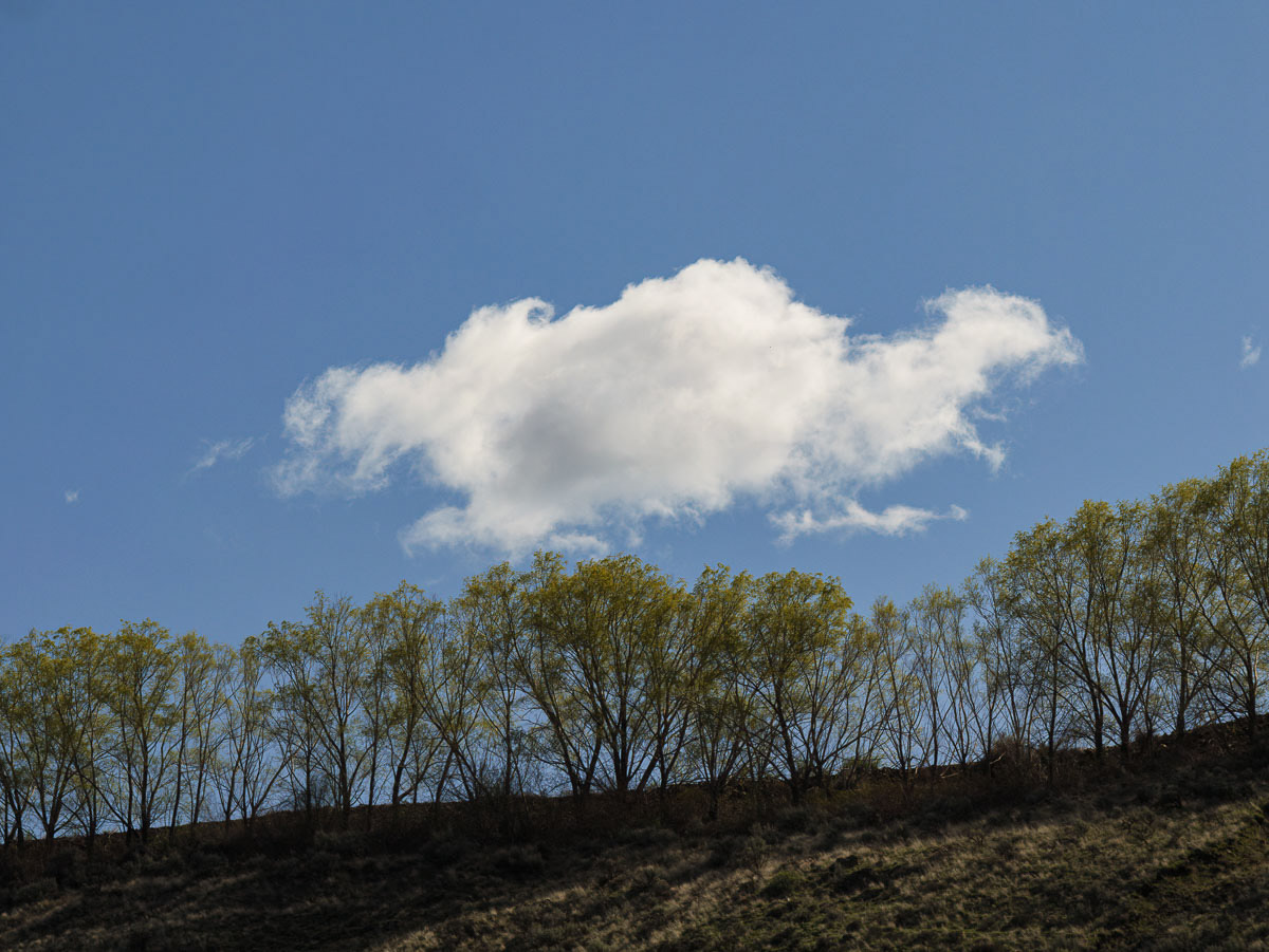 Cowiche Canyon-17