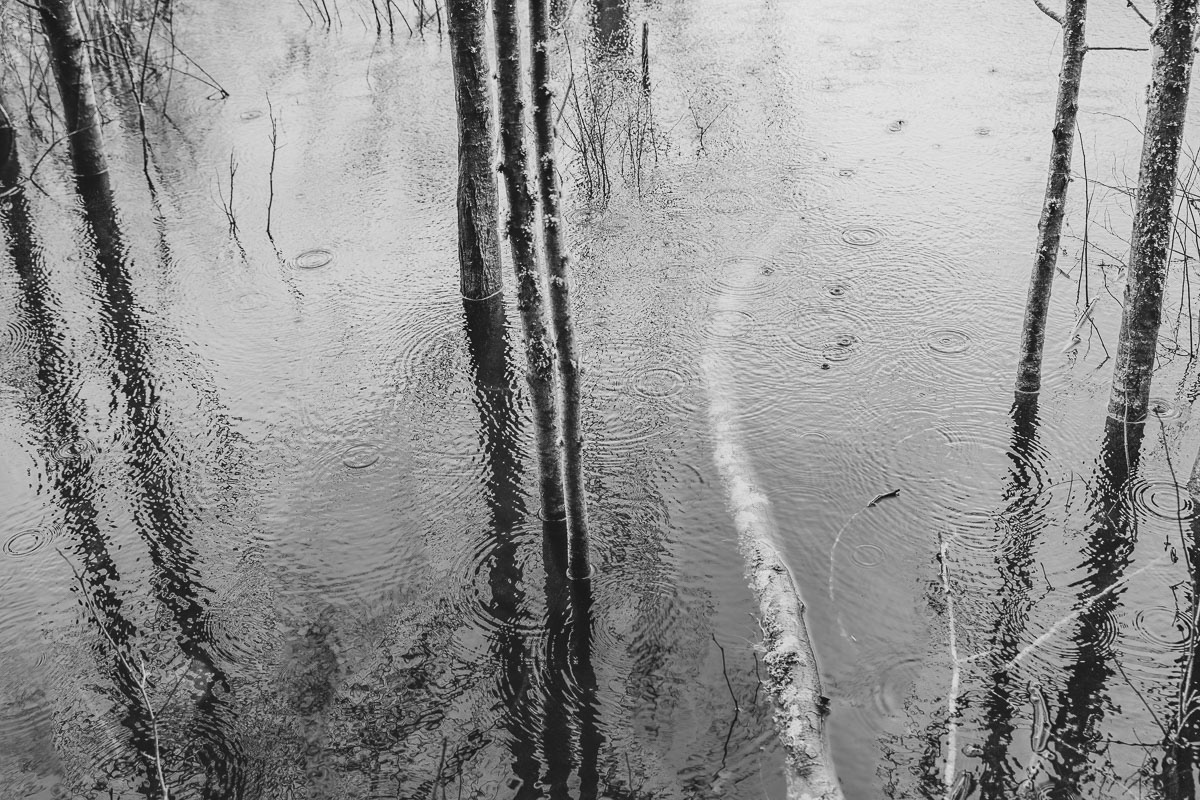 22-Spring Equinox, Fisher Pond
