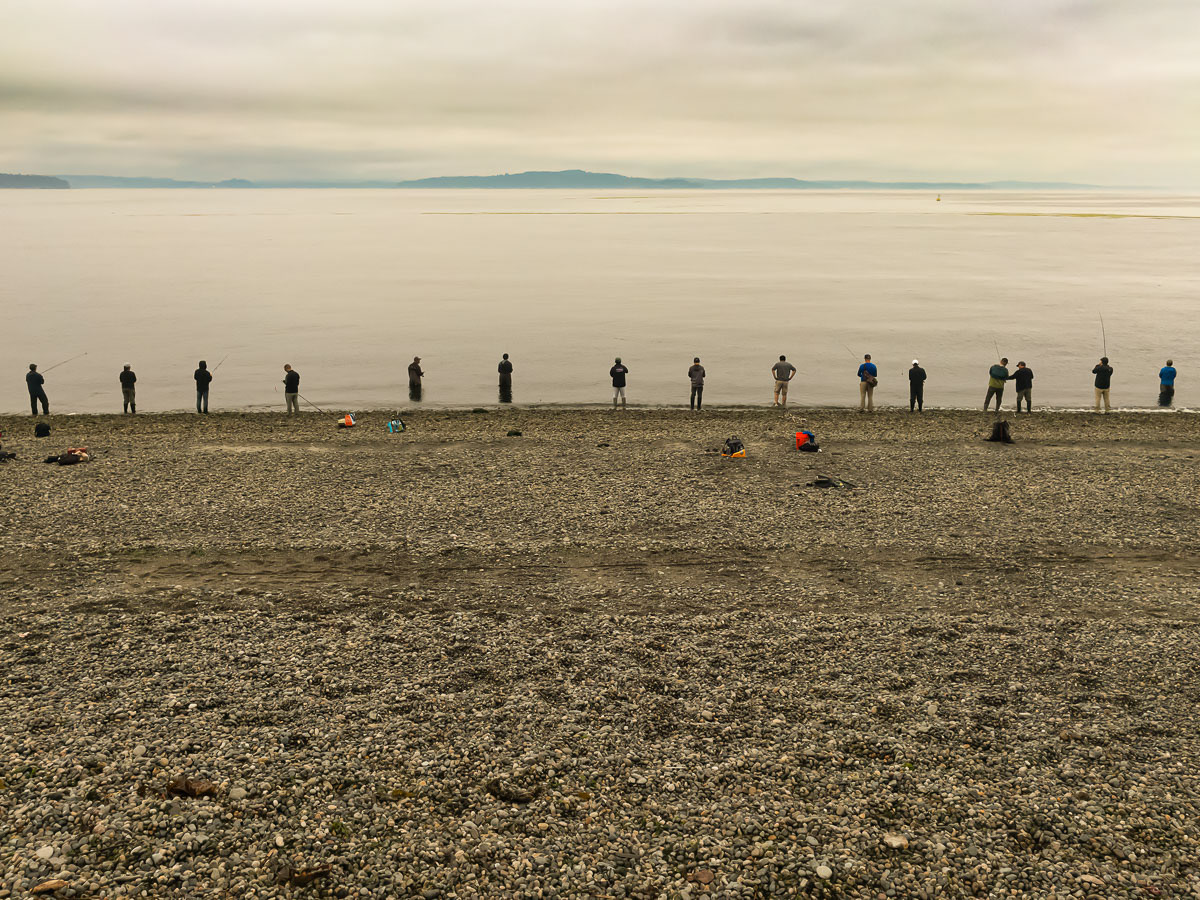 9-Salmon Season On The Salish Sea