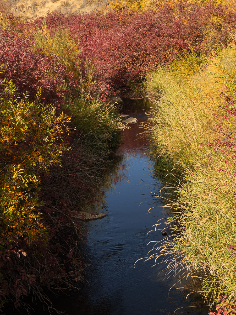 Center Creek
