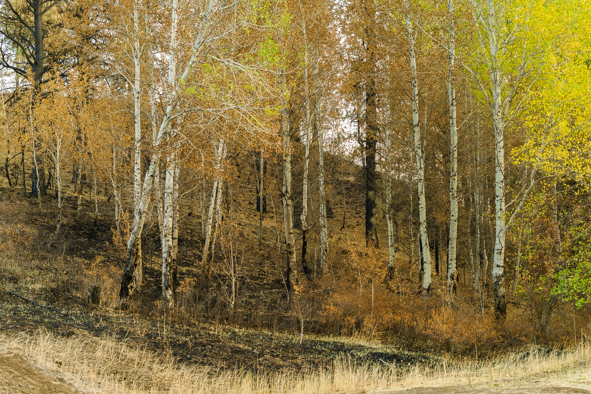 Evans Canyon Fire-3