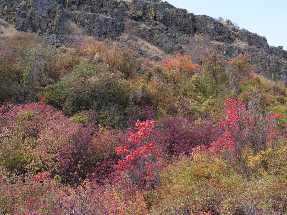 Cowiche Canyon-6