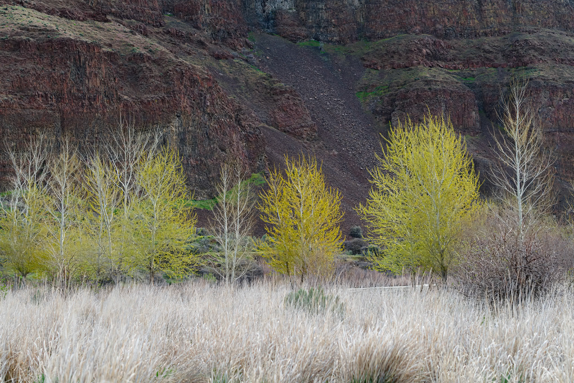 Cottonwood Canyon-2
