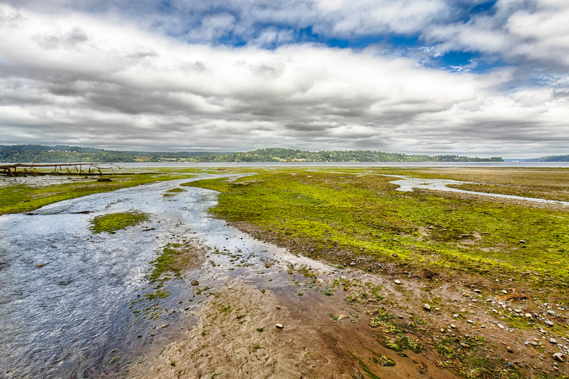 Low tide, Fern Cove