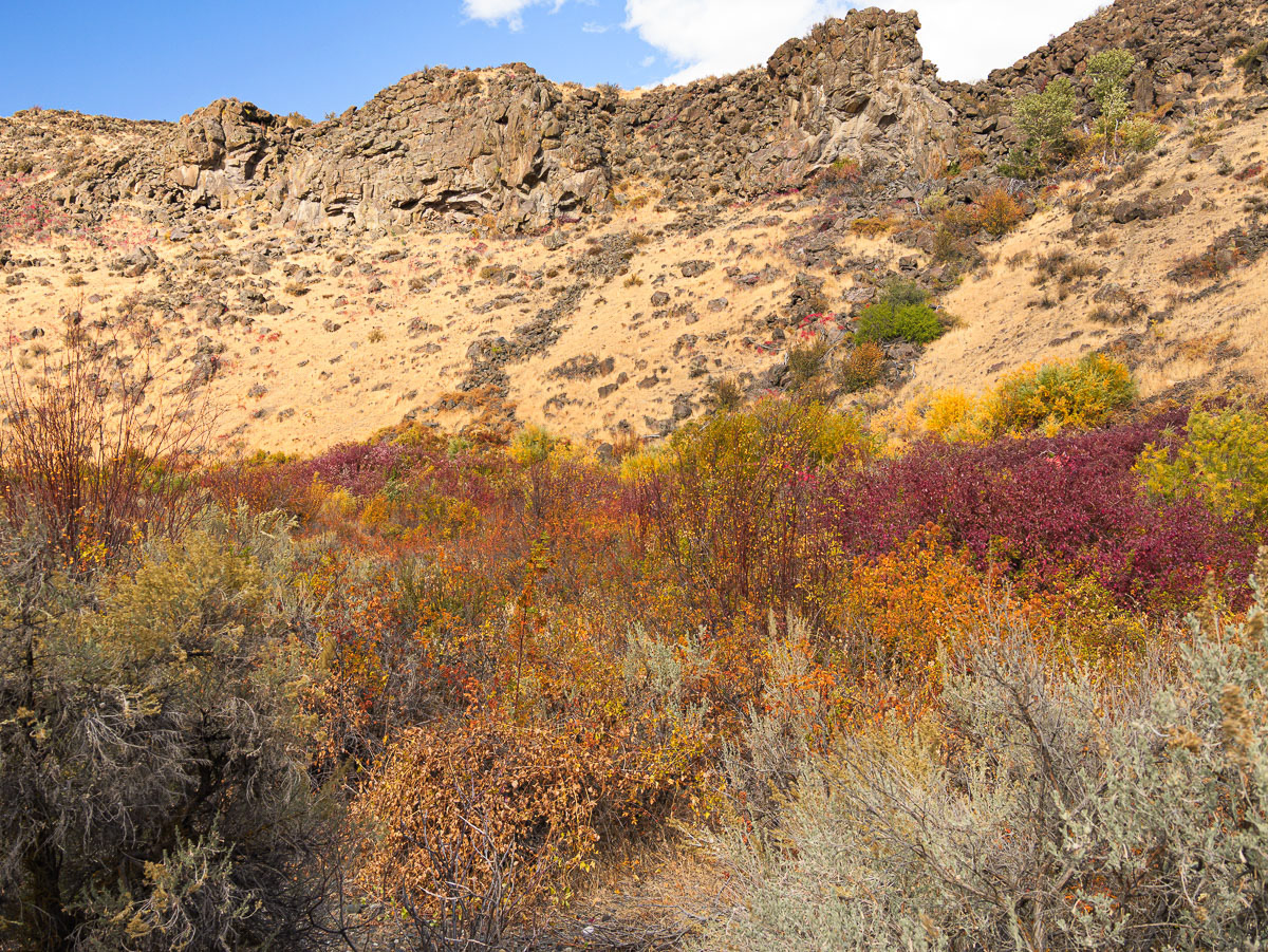 Cowiche Canyon-3.jpg
